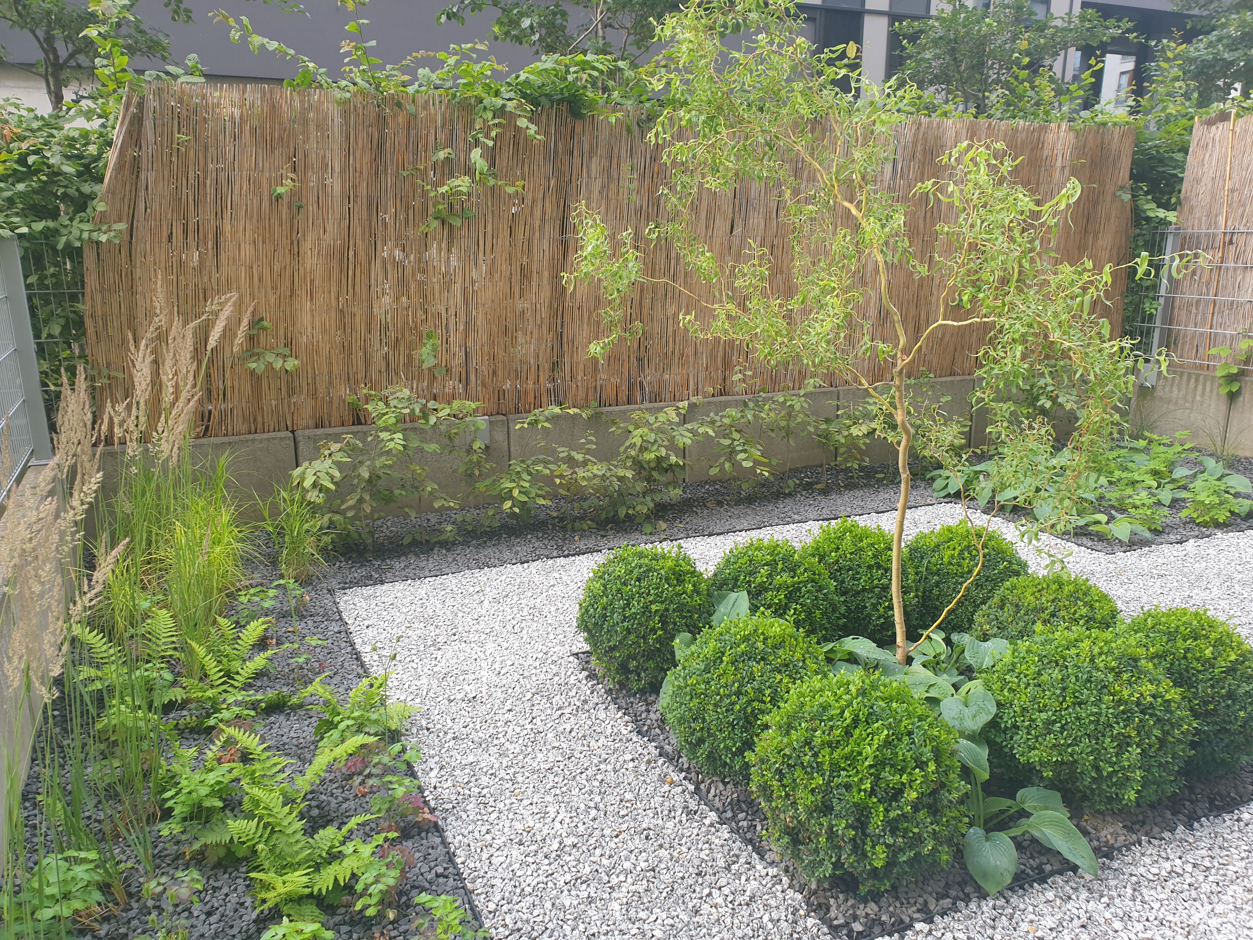 image-48a1606add04557287797ef825c2b9524fbd7389-4032x3024-jpg