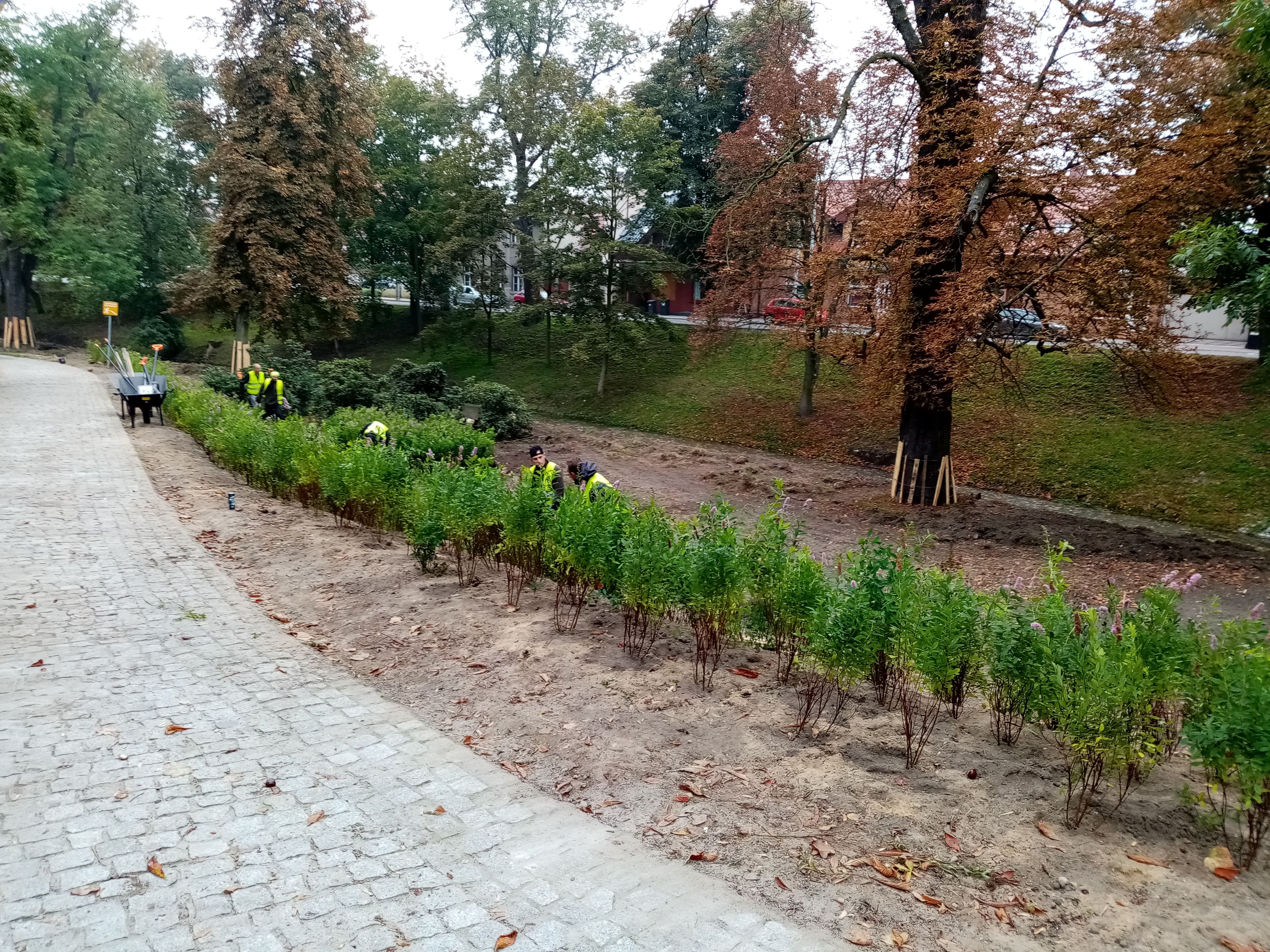 image-4b818aa478204cdbcc528c5e1b99f2ffd7c41a46-4160x3120-jpg