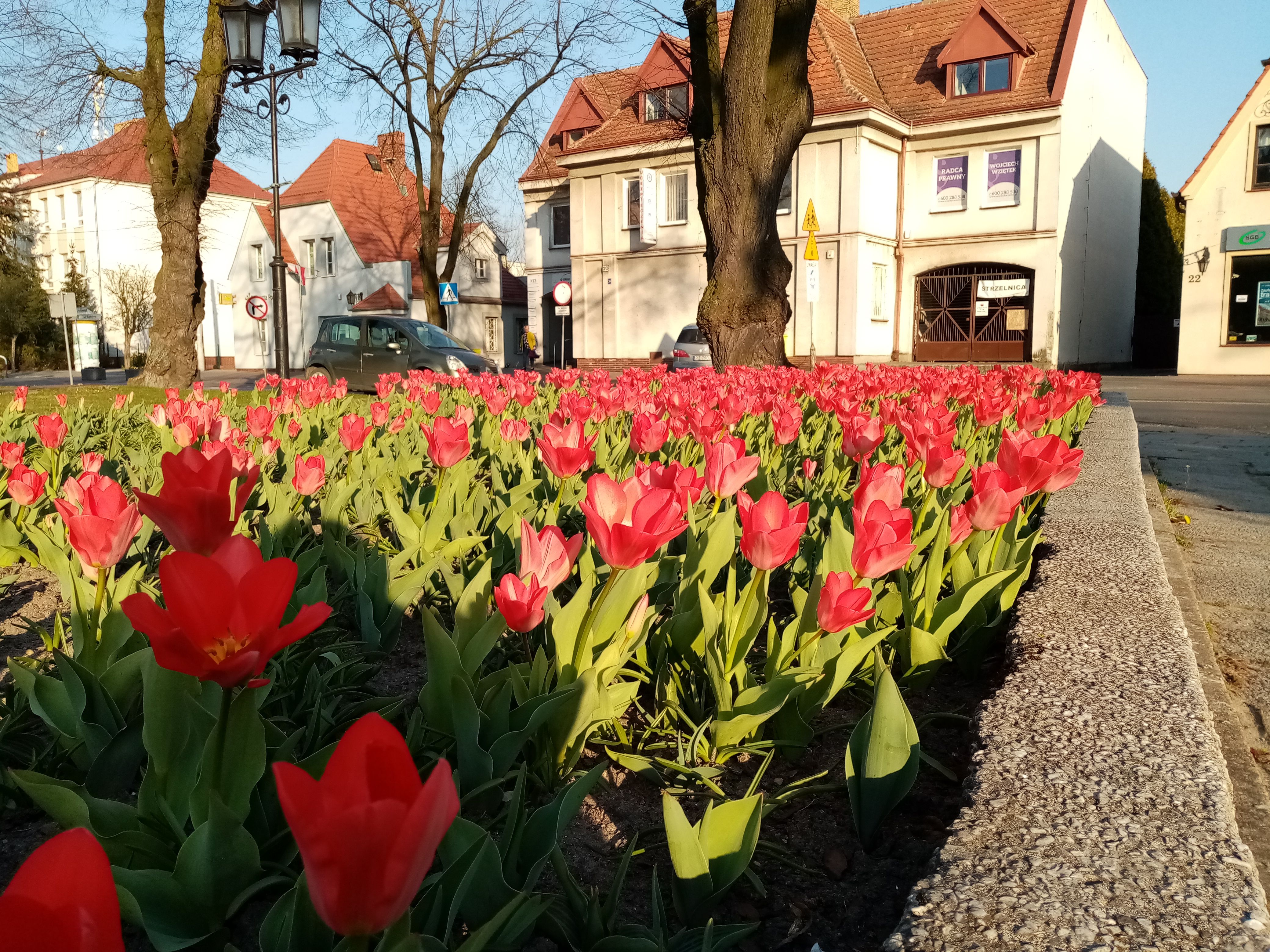 image-4e29195a533bd6afb0dd319aace5c5158f9e9de3-4160x3120-jpg