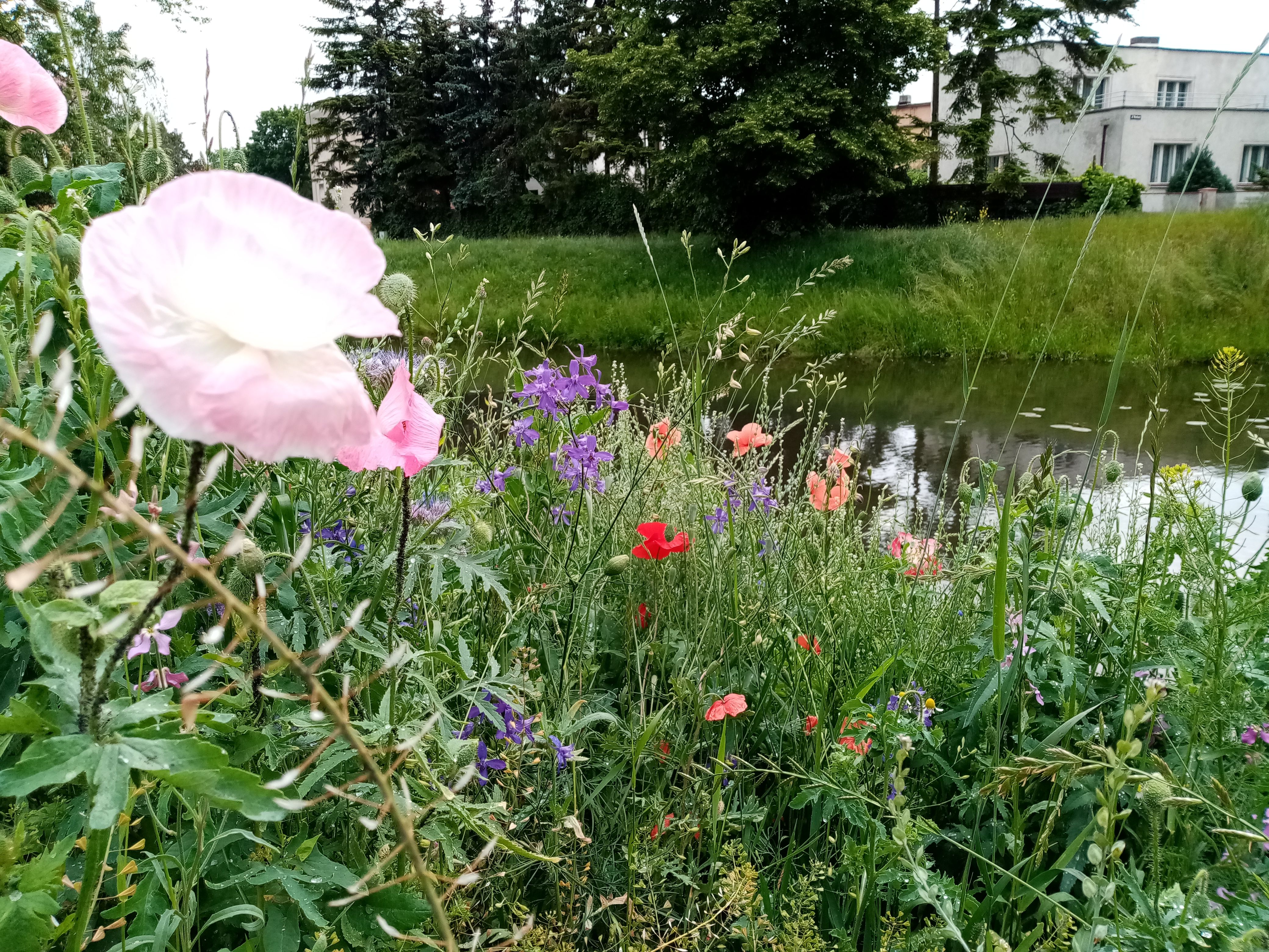 image-4e63a6e34ccb73e363727b4db181fbf59ea8d611-4160x3120-jpg