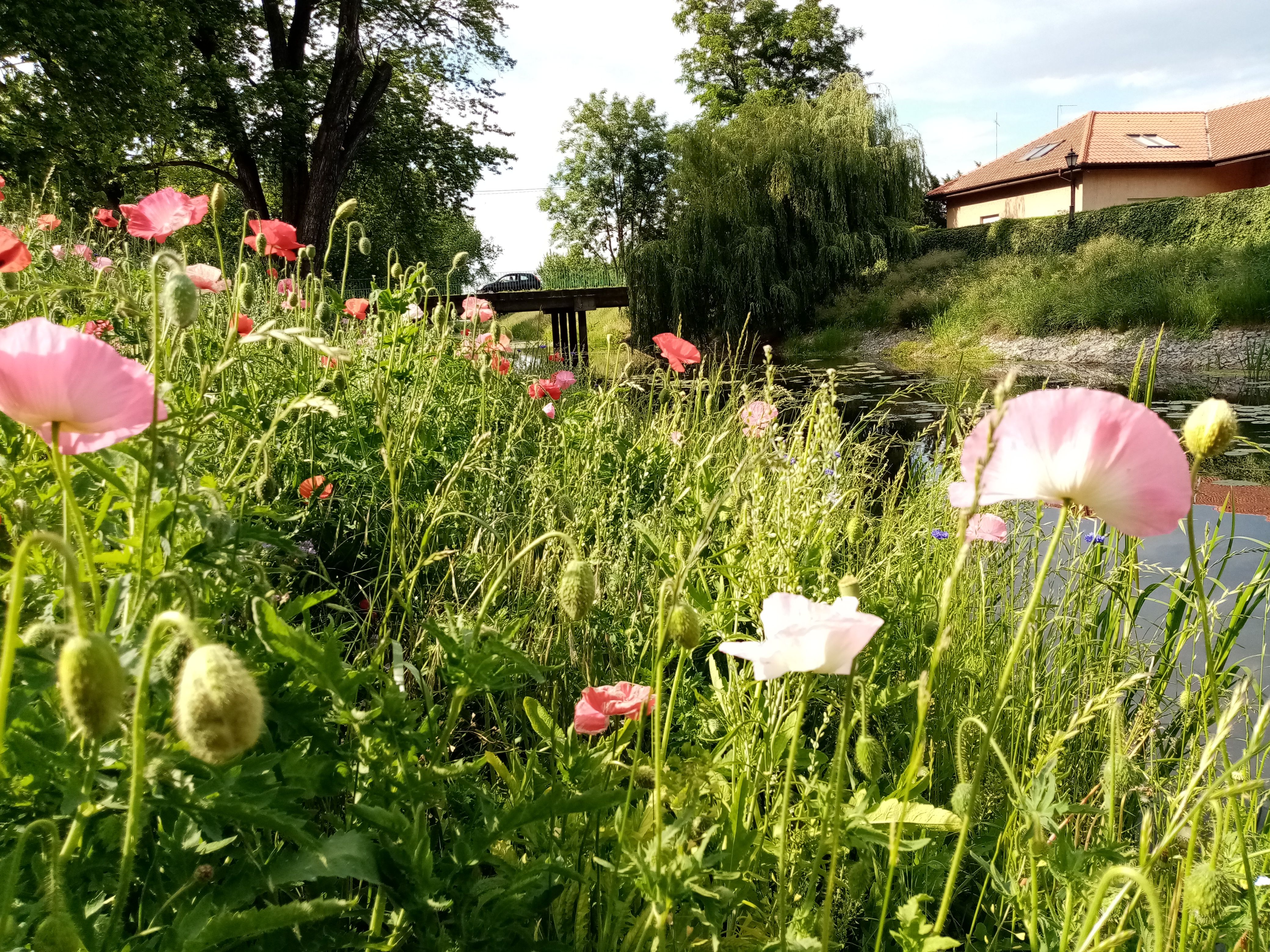 image-4f37173f21da051bf15d14cd23e55ea52b85b31f-4160x3120-jpg