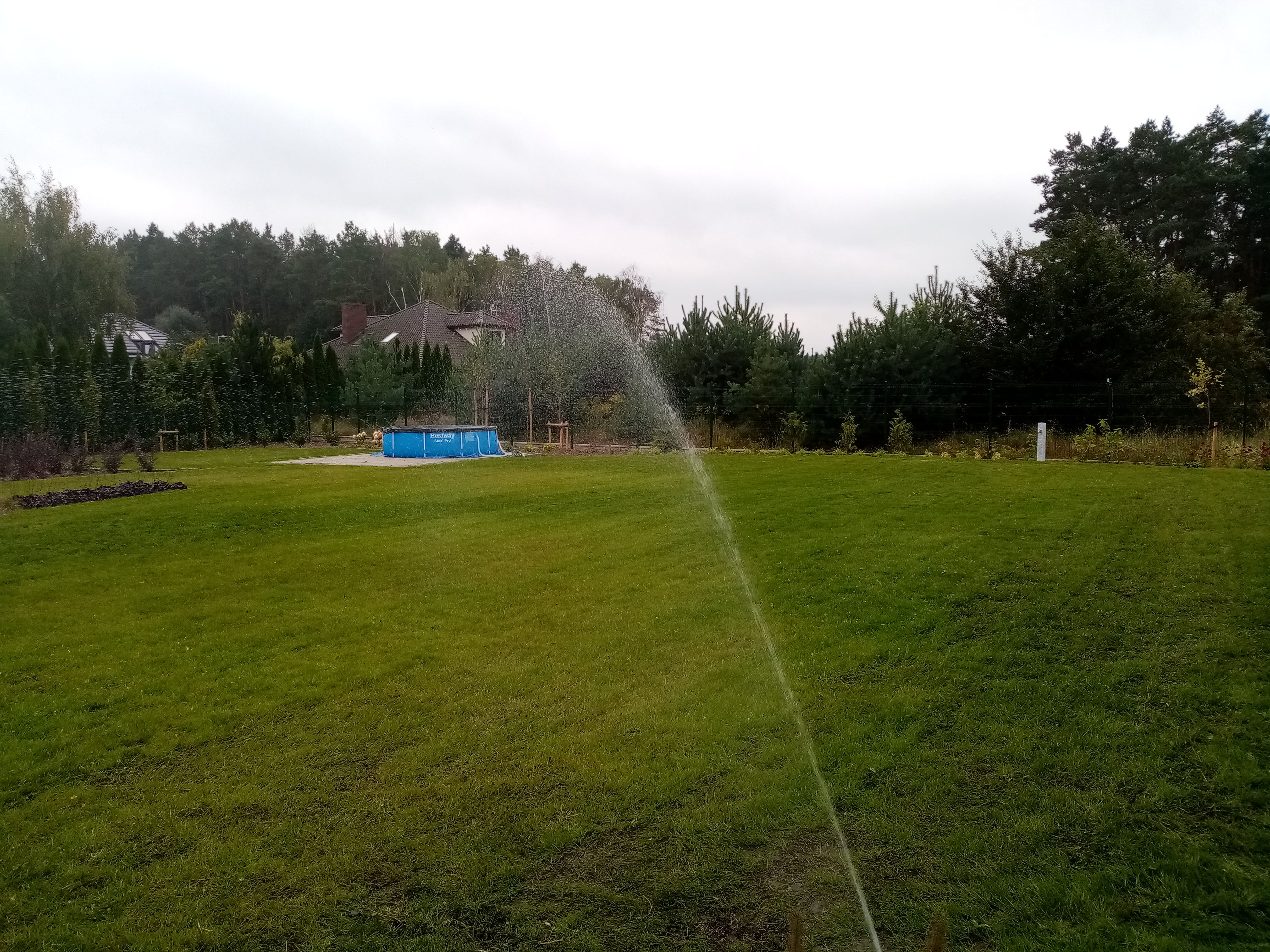 image-595e0c73569587e2e87de4b776cf799f730472a2-4160x3120-jpg