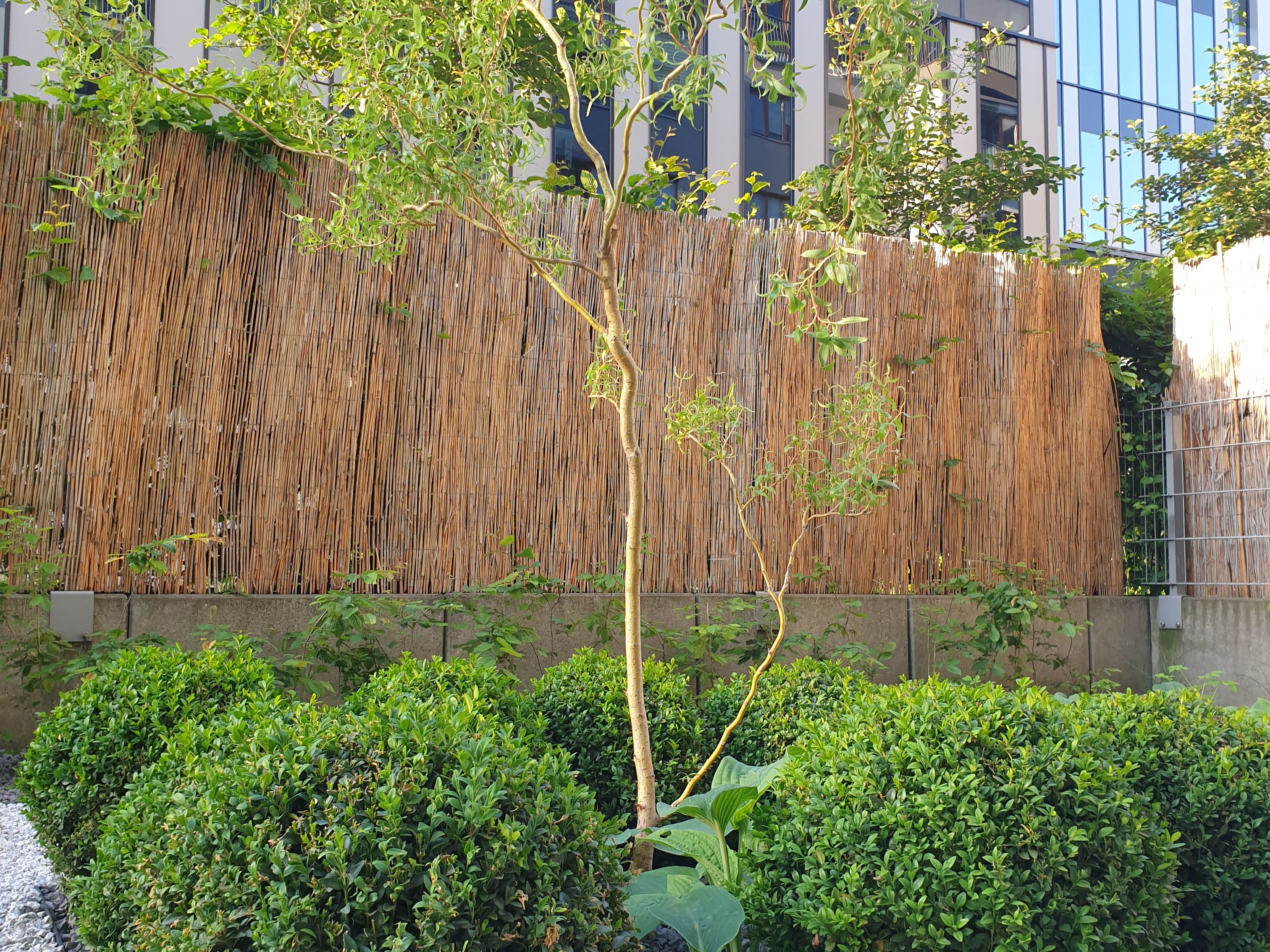 image-5ed97d5a3670e1ccb4c7600c5d87bcc8c0a6ba00-3024x4032-jpg