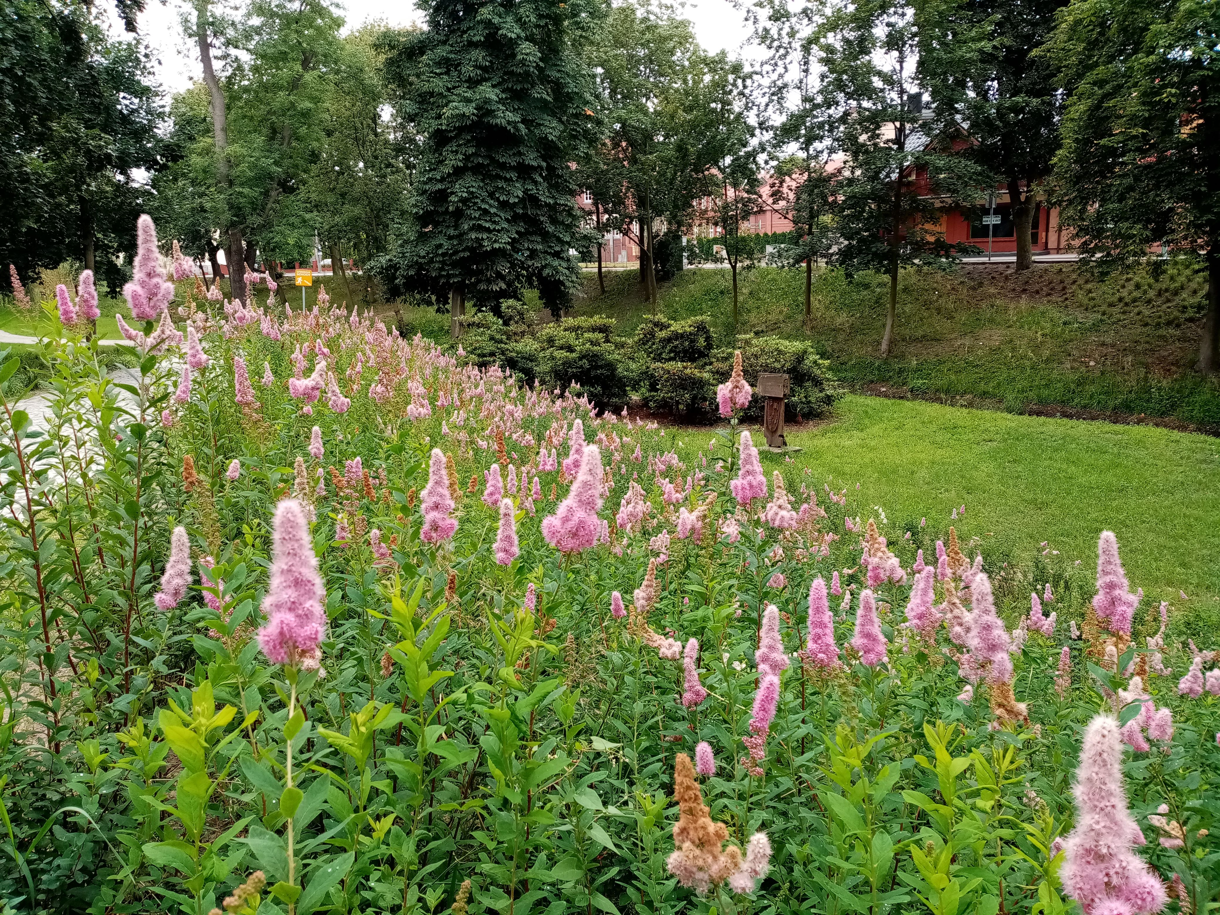 image-62824442381264c603b17c9fb17425cbe22ac4c2-4160x3120-jpg