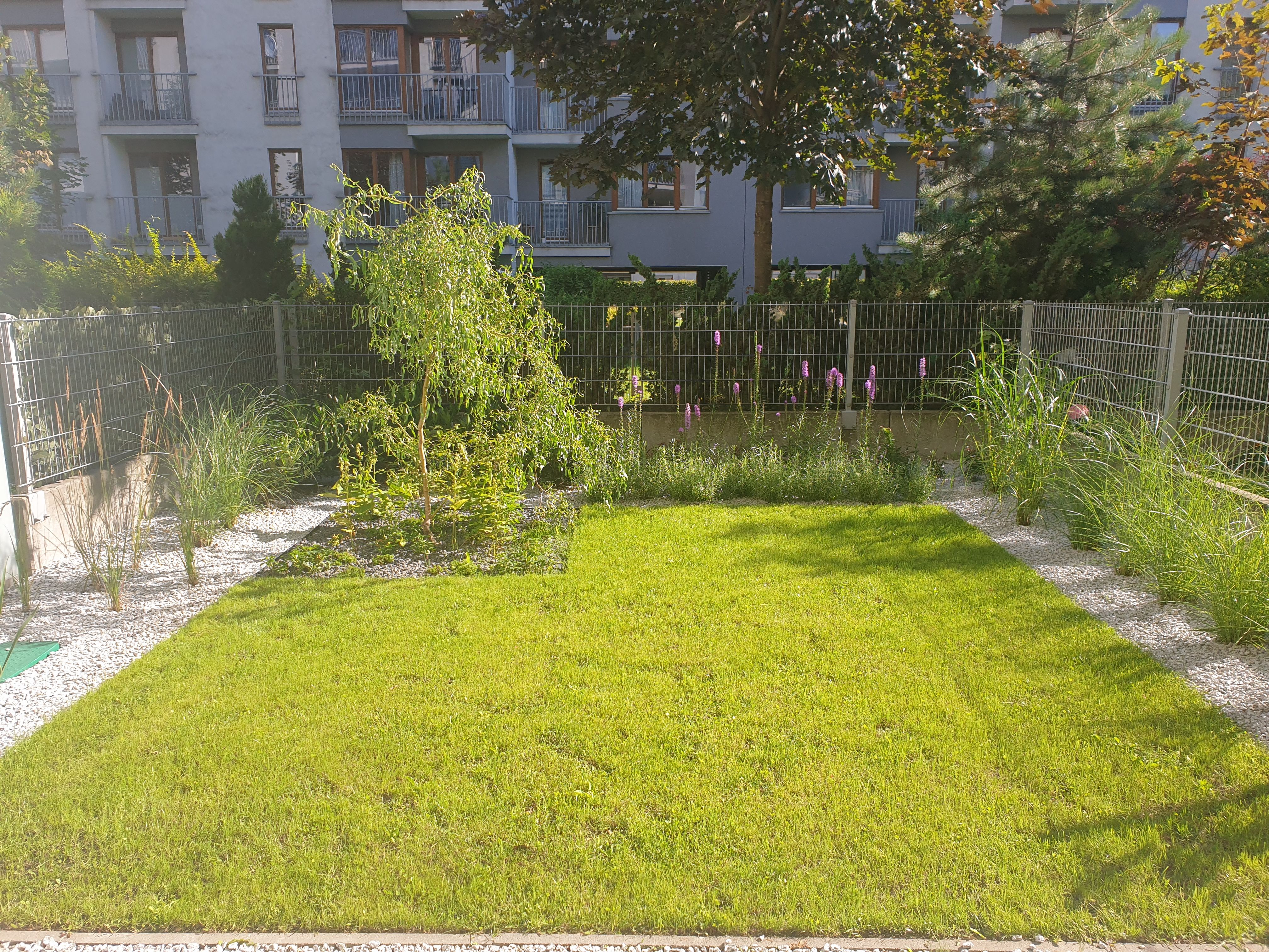 image-685437e60d6ccd61ed669d212fd0fc25084eb2f5-4032x3024-jpg