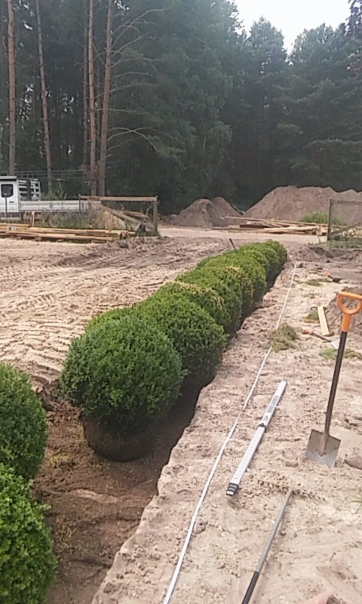 image-68a6a82b6dfa149ce0a84033967ab9ac9691c703-720x1200-jpg