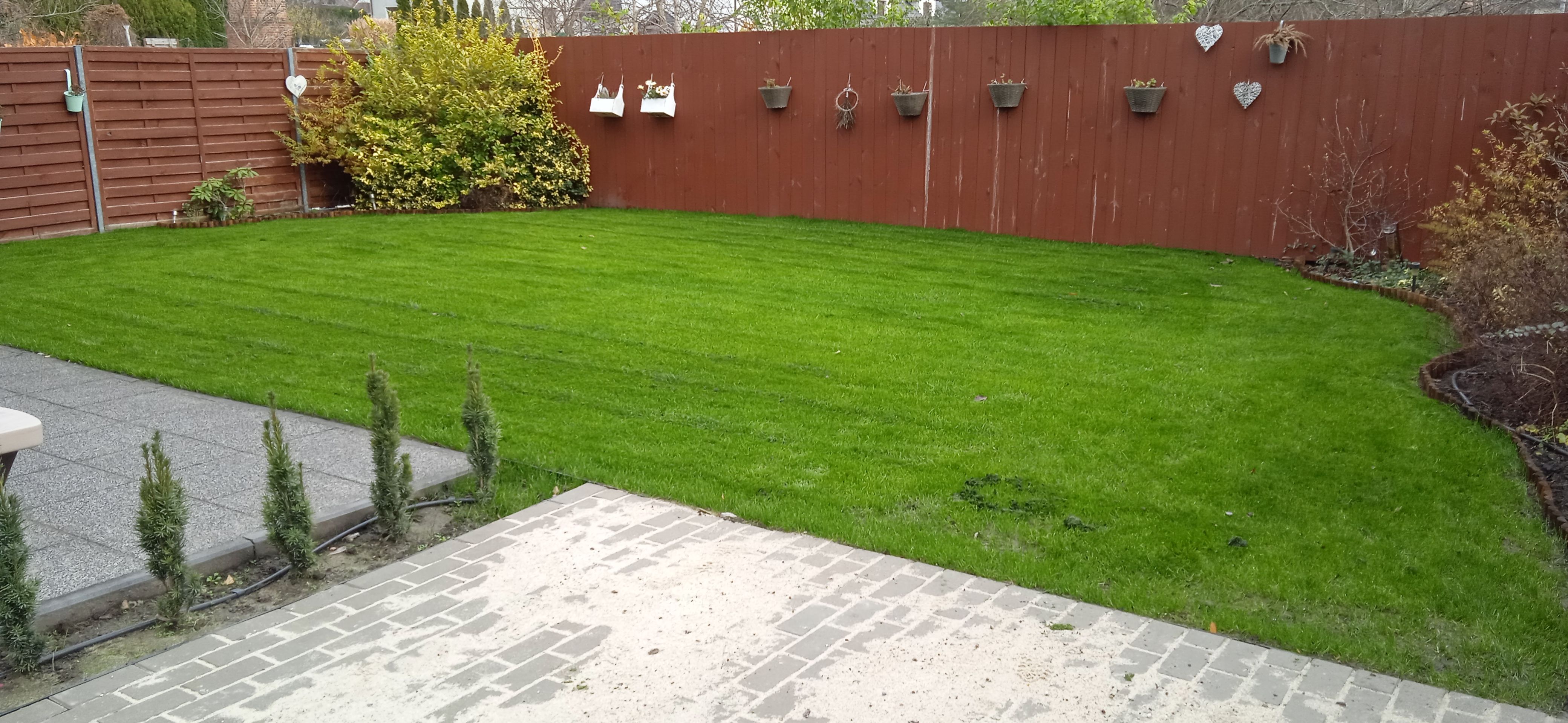 image-6b973e9f101156d39c1840bd9227508f9bc467d2-4160x1920-jpg