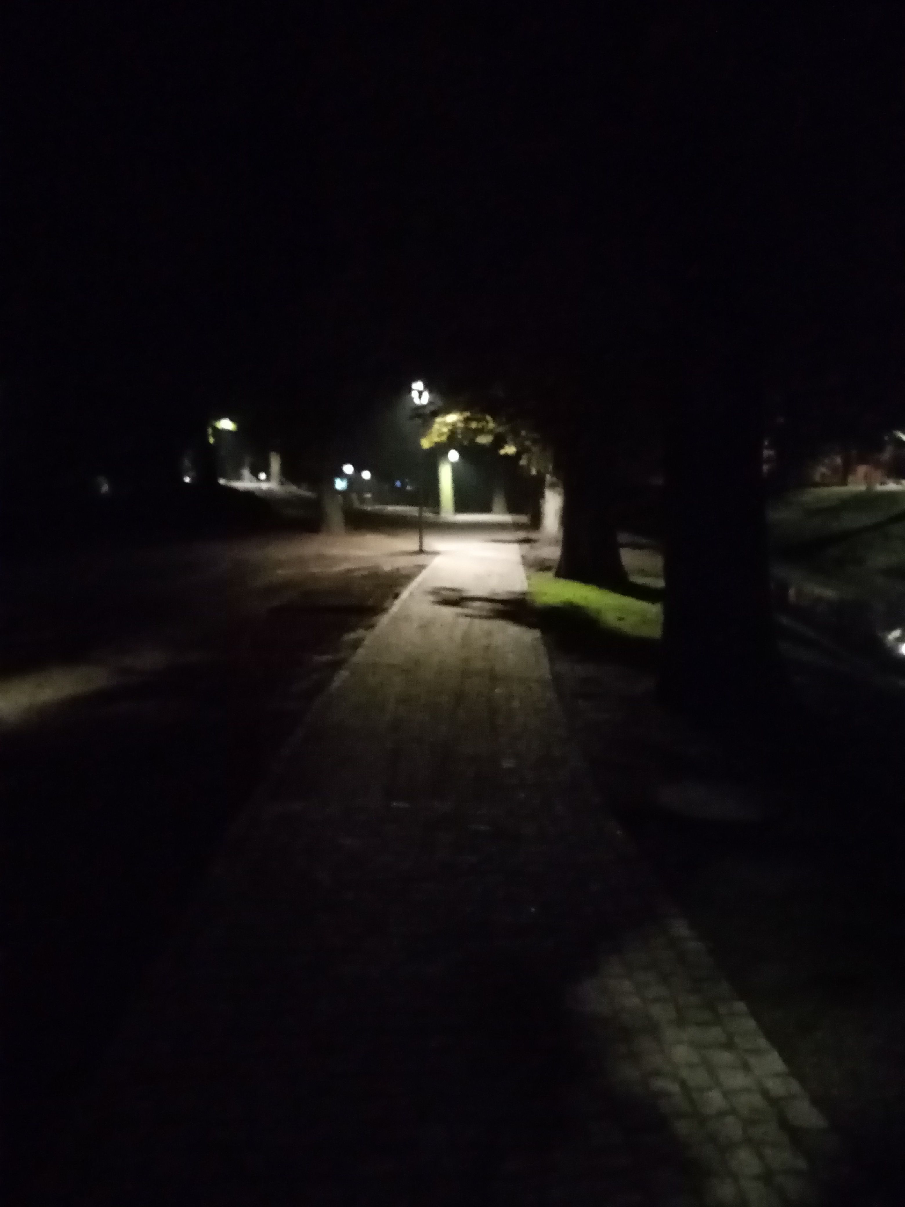 image-70ed4efed8d2fd1ff16bf6517e9772f07bfd4337-3120x4160-jpg