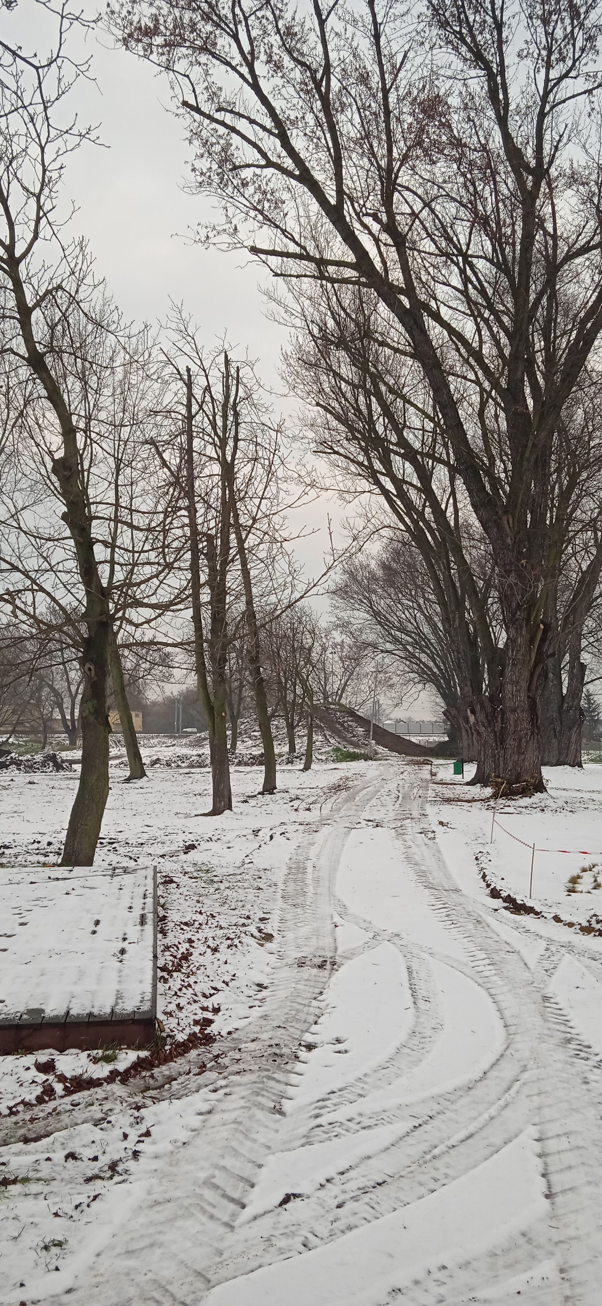 image-73a780761991dcb56ac576e99f93c92afb59aee6-1920x4160-jpg