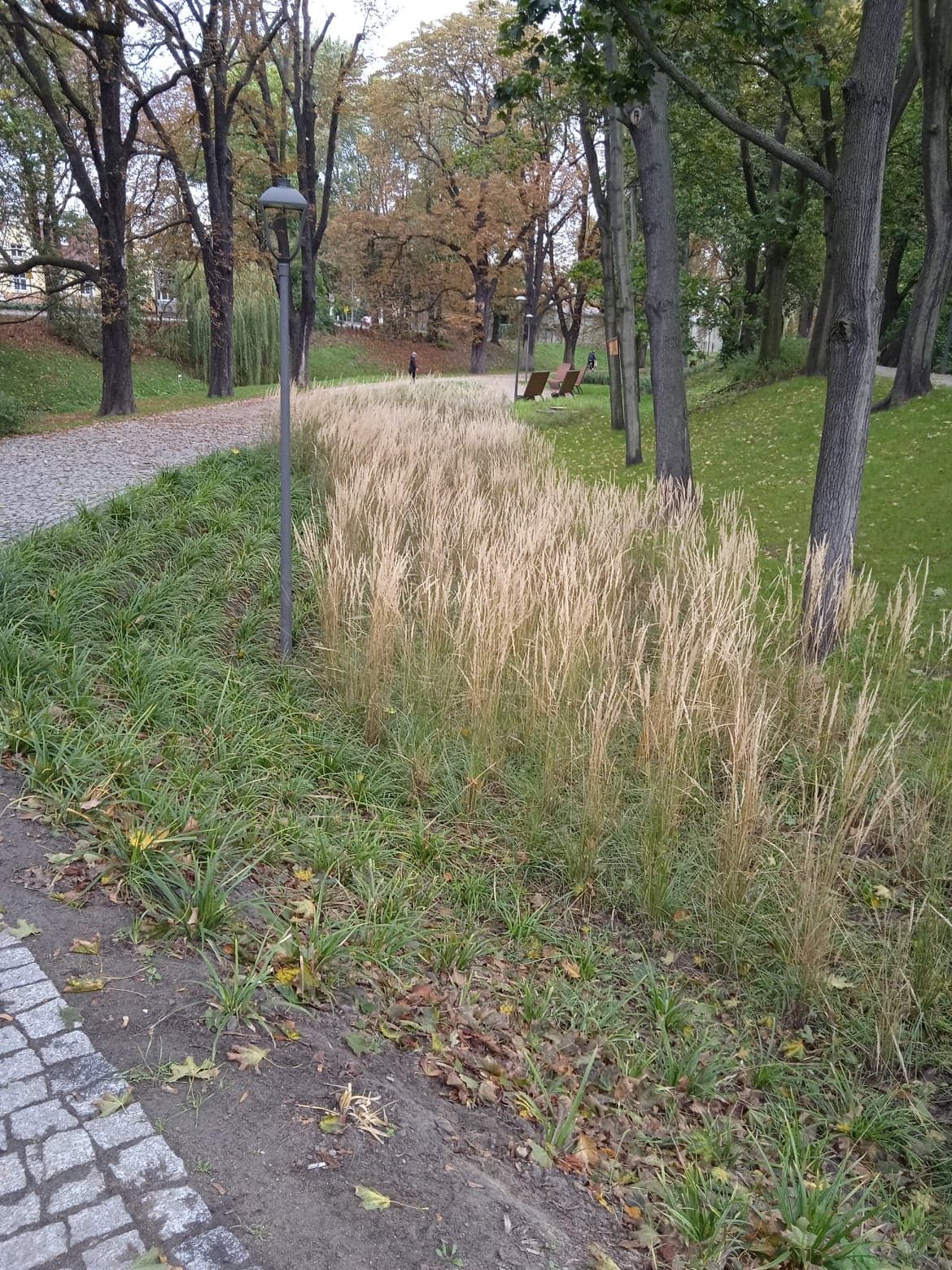 image-797318572bb71e187f627a31ec682aae8e8c5a8b-1170x1560-jpg