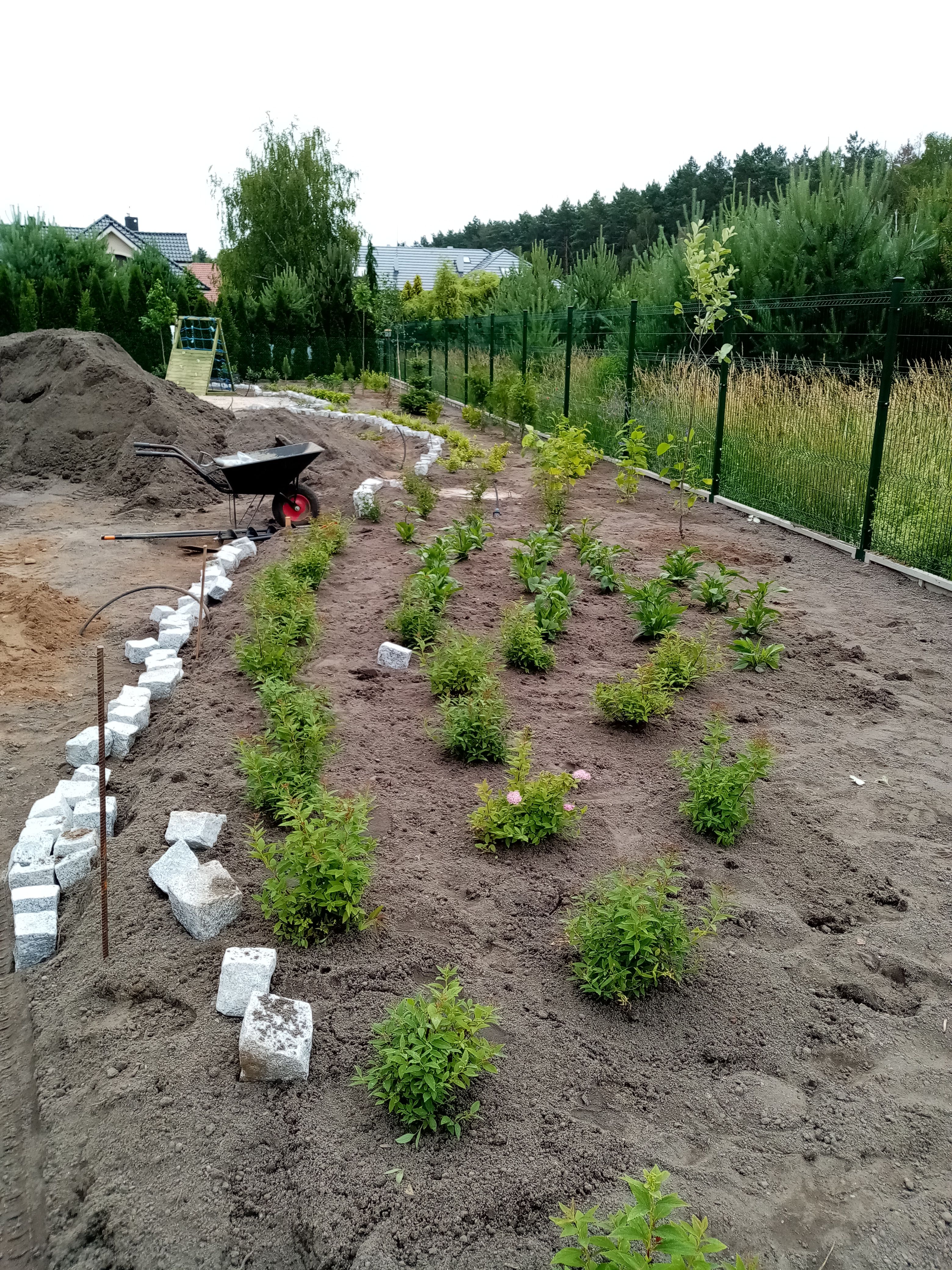 image-7b25d119d11c7bee47f4cc1233e5f2990b4599f7-3120x4160-jpg