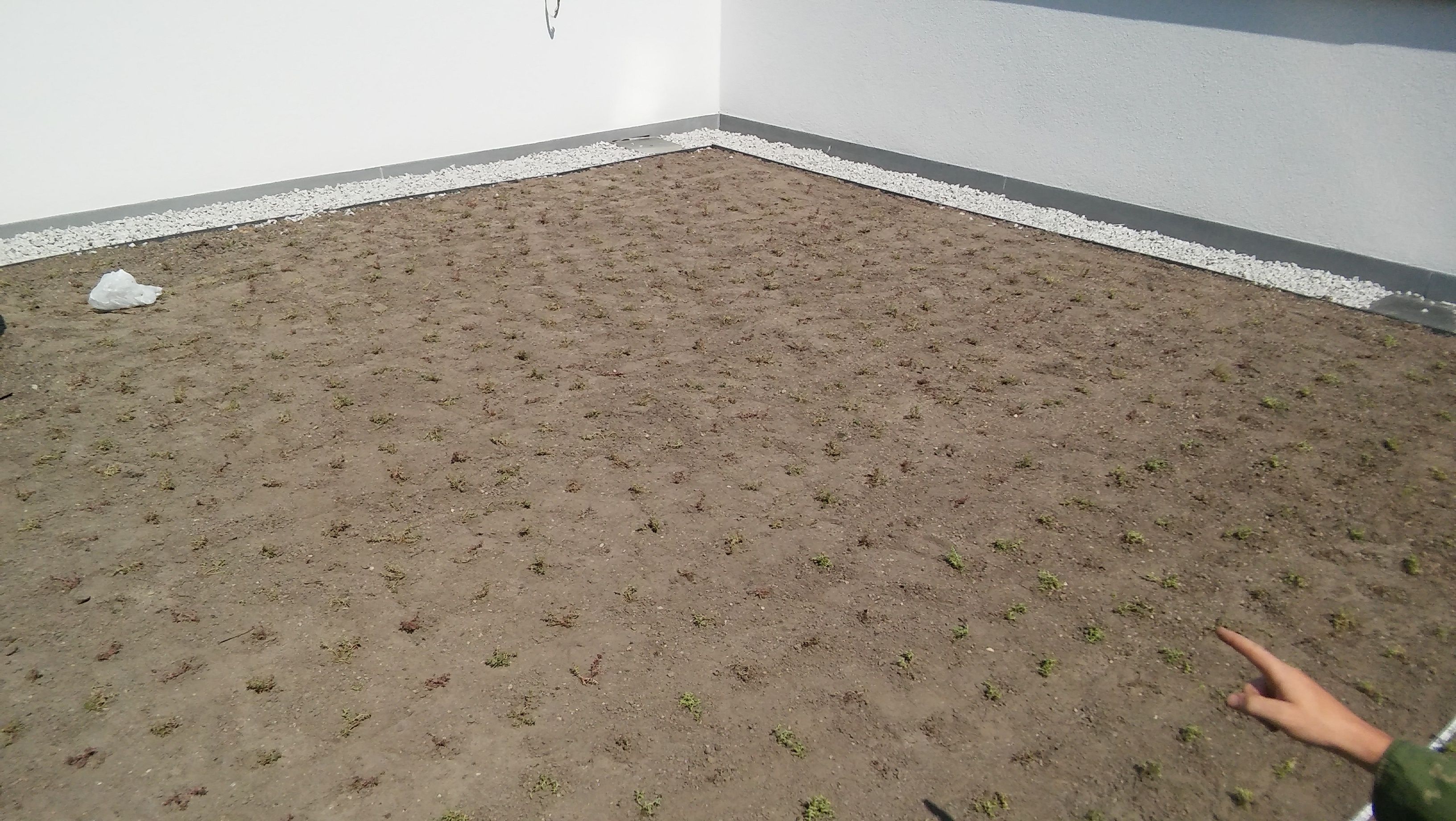 image-7fd805923cdf58b804962d5802a33da726ca0b10-3264x1840-jpg