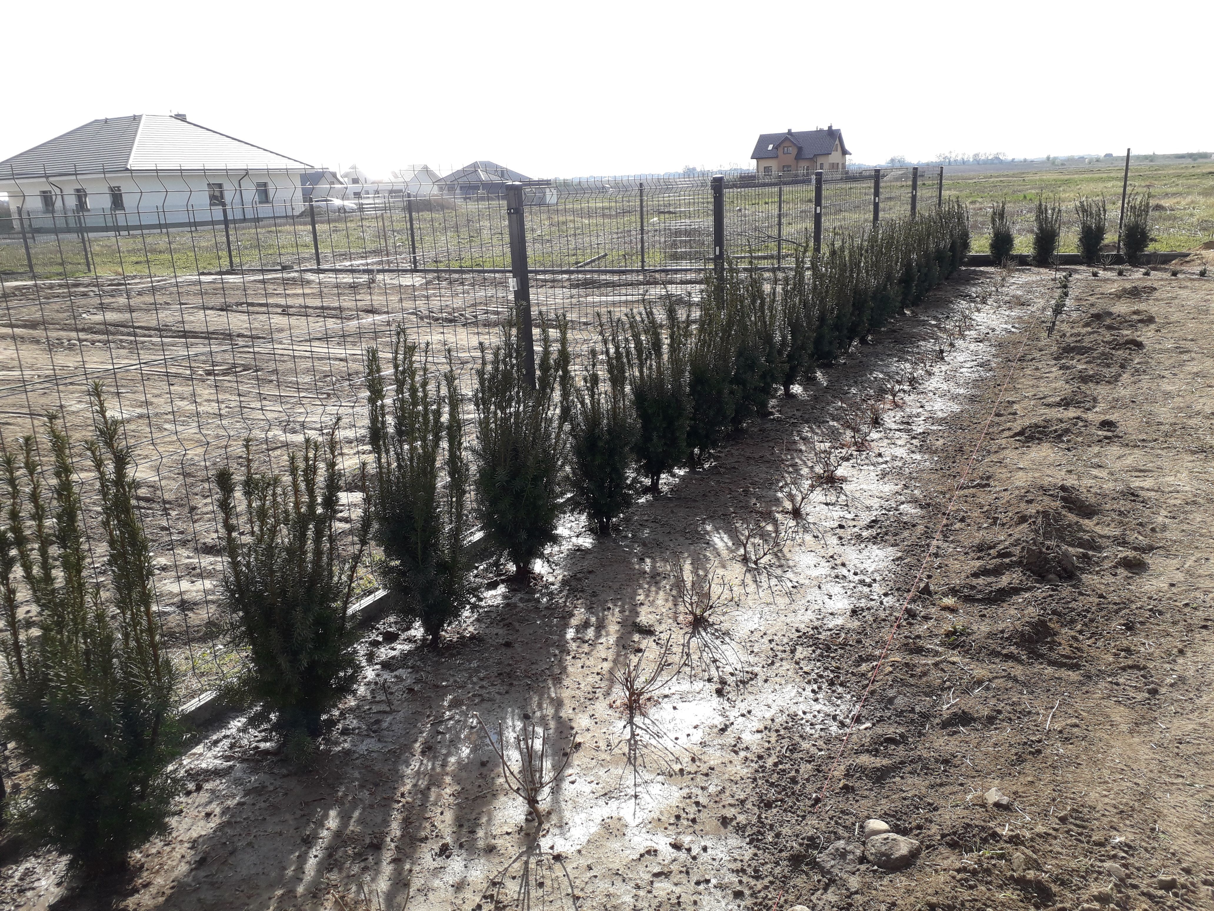 image-804e086c7e92004281abc52becb403bde8dc4c35-4128x3096-jpg