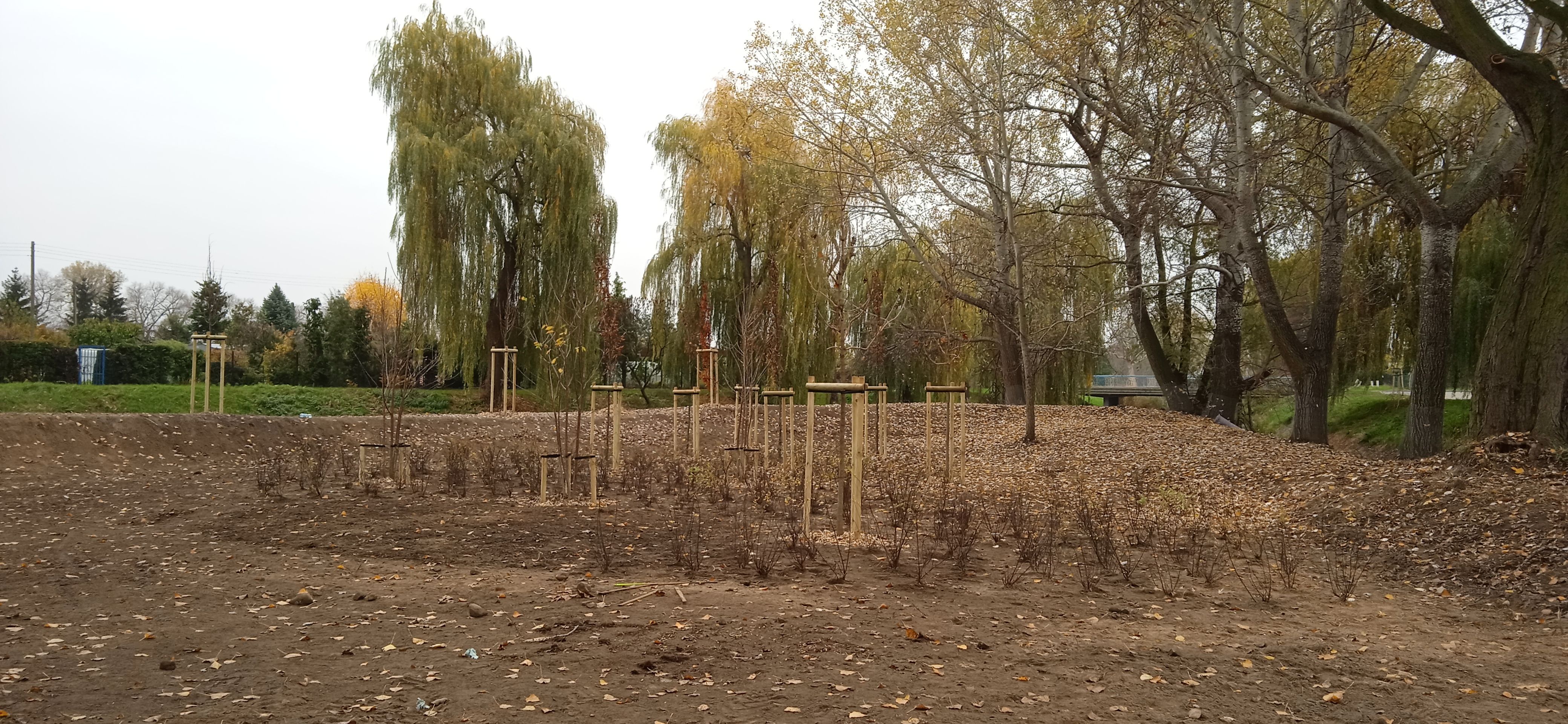 image-81d6000c39ec93c99f420aa232833b85dea92b43-4160x1920-jpg