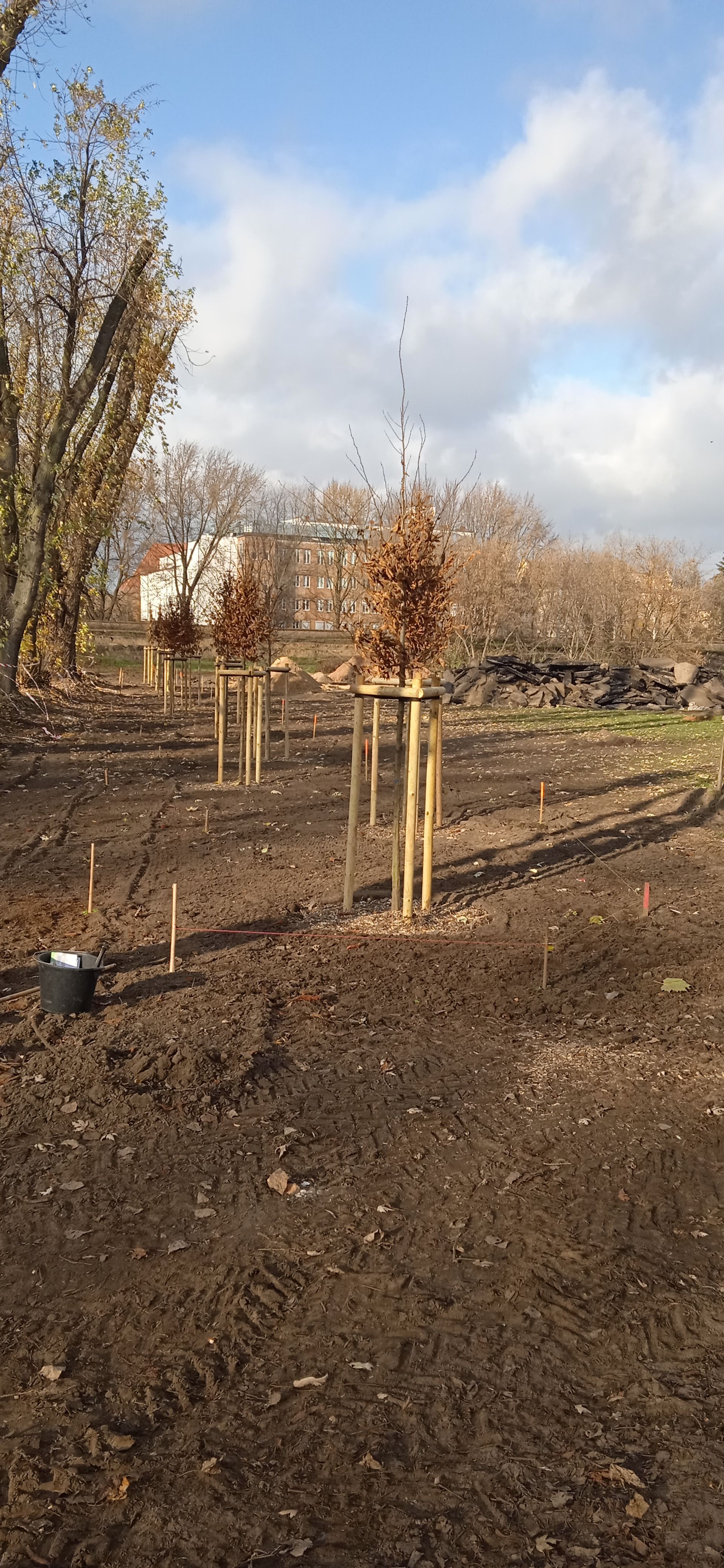 image-8971305a50acf10fbe5110dcb8ea396865b73e39-1920x4160-jpg