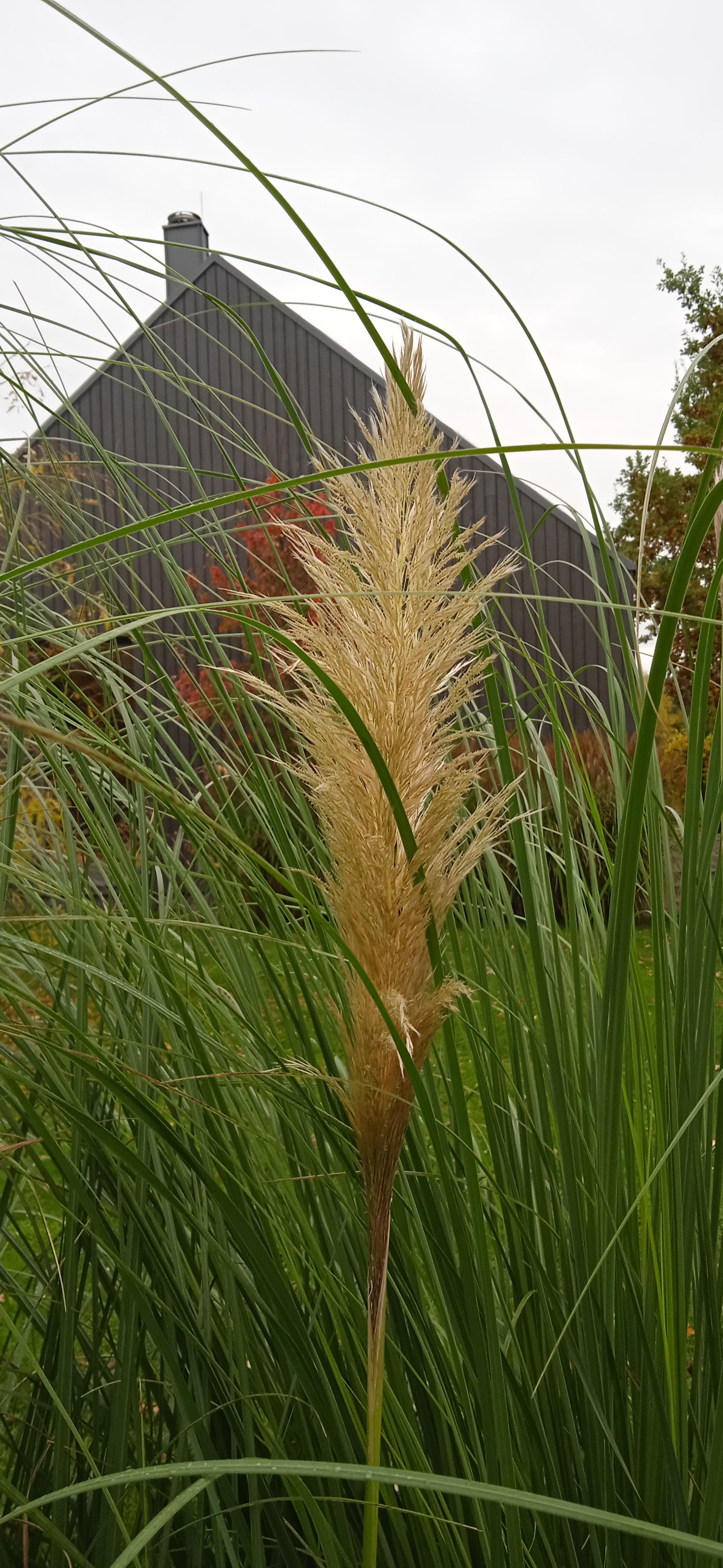 image-8c563f08c951ecab55ac21c77b02785f36b1402a-1920x4160-jpg