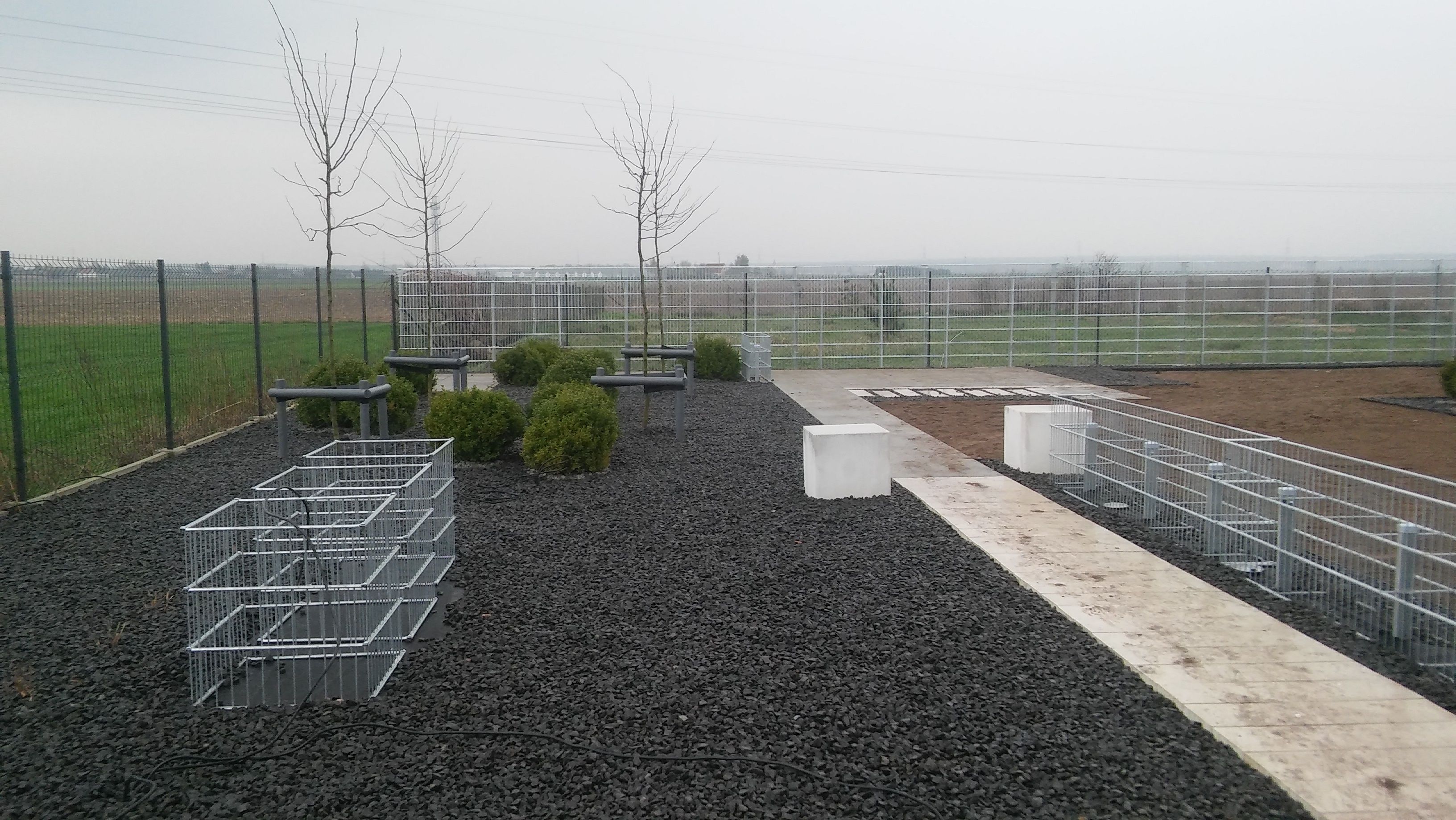 image-8cb1e361283224c067cddd549e15dbf0ffc8a3ab-3264x1840-jpg