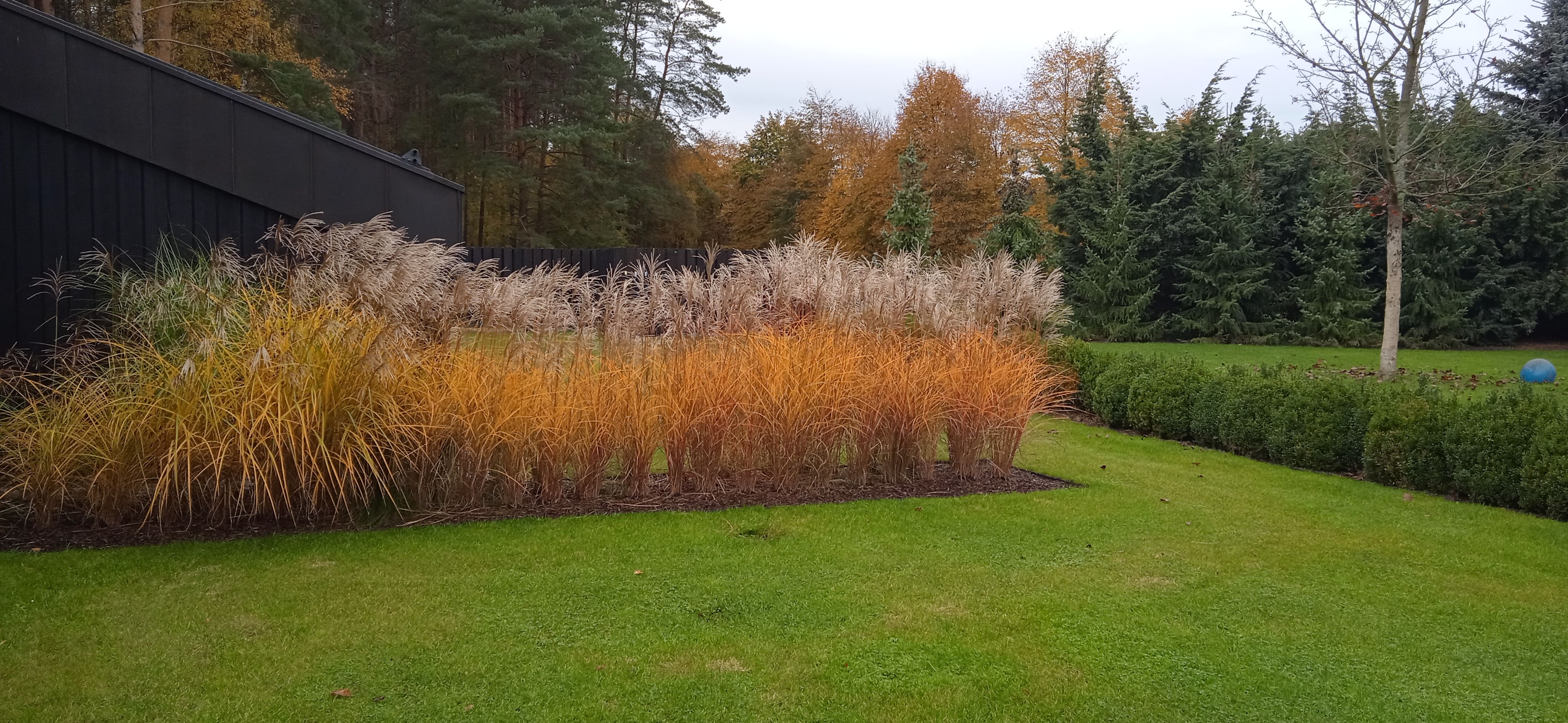 image-8cf4261b11036b50df73ca4e3c7ef49f9d251bdf-4160x1920-jpg