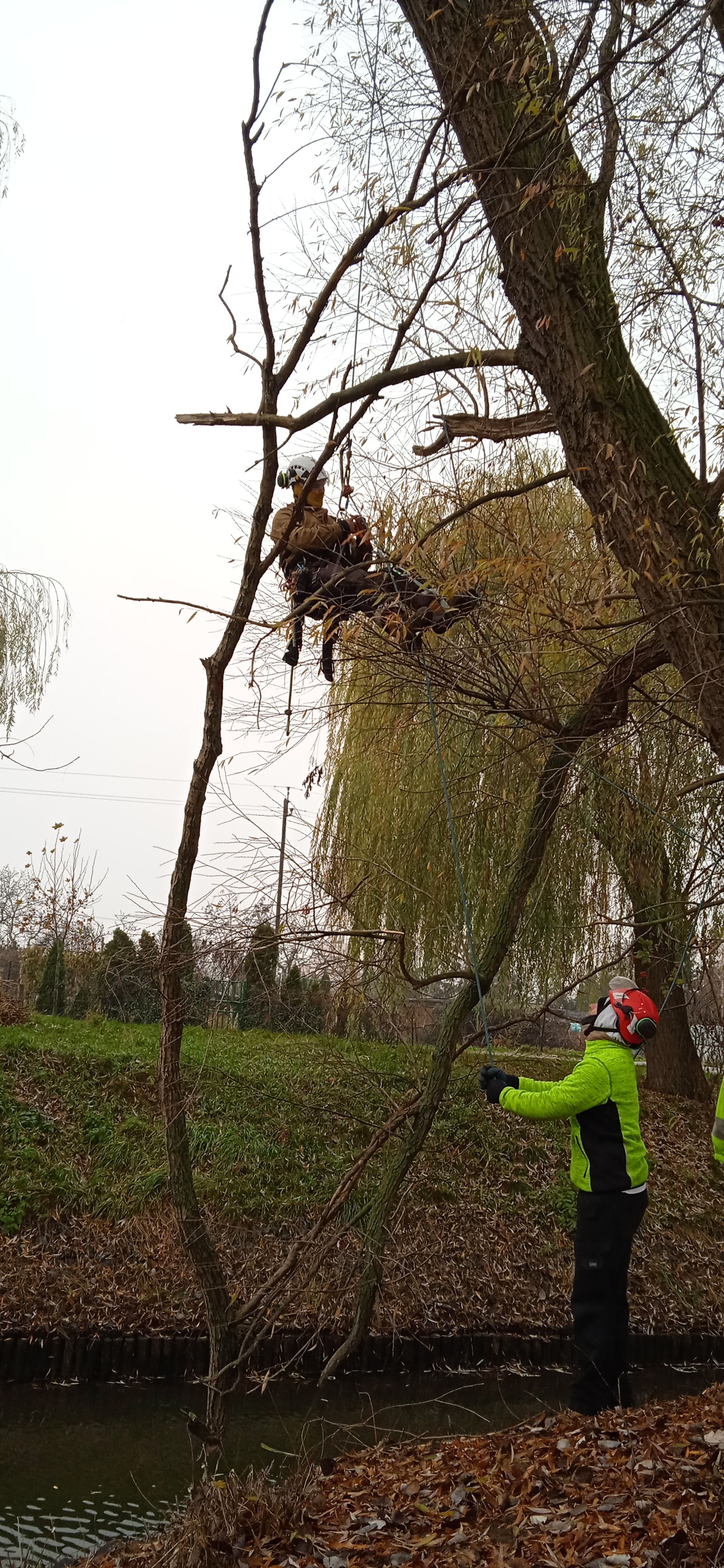 image-8f520e8b79470725eca1872222f60164b97df58f-1920x4160-jpg