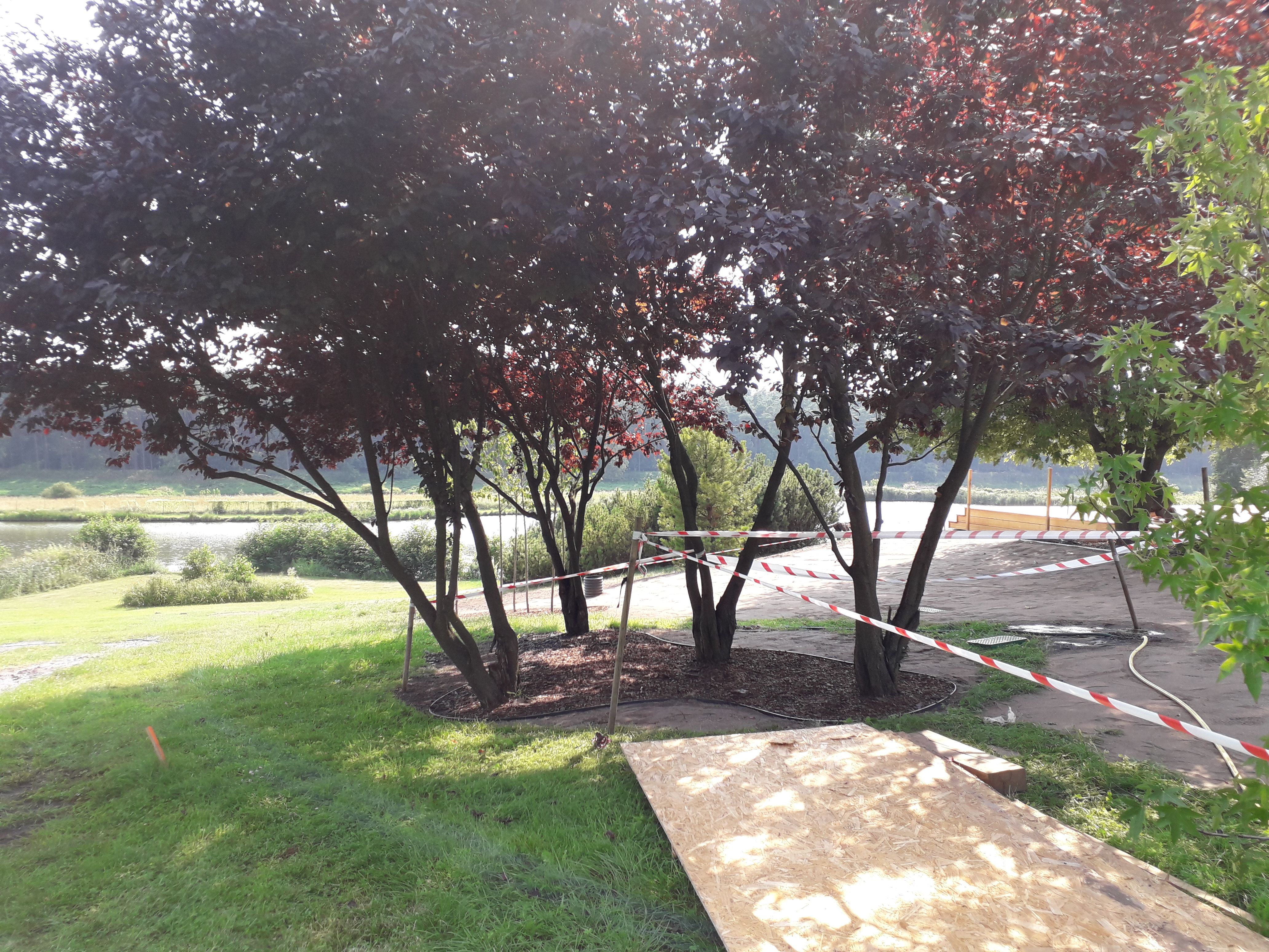 image-900200da6bc3f4a16261941d4c17613429a261f4-4128x3096-jpg