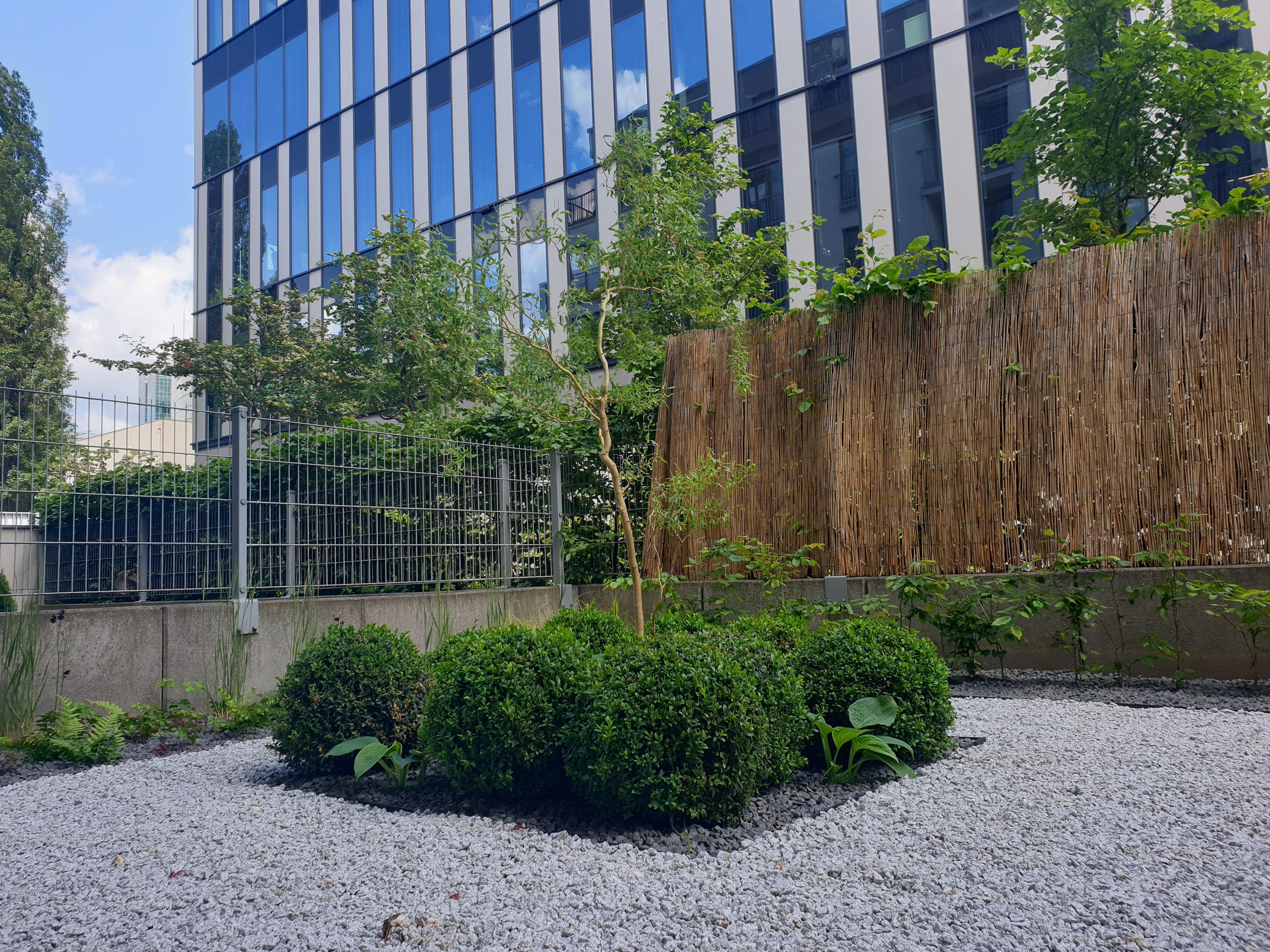 image-9122965acf455b1a076f774f916113acfc86ec0b-4032x3024-jpg