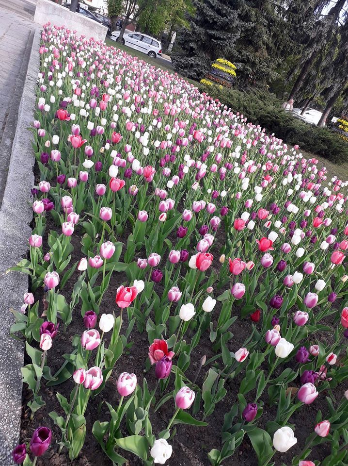 image-97a02a450b34275f5c01e4df2793bb123b09431e-718x960-jpg