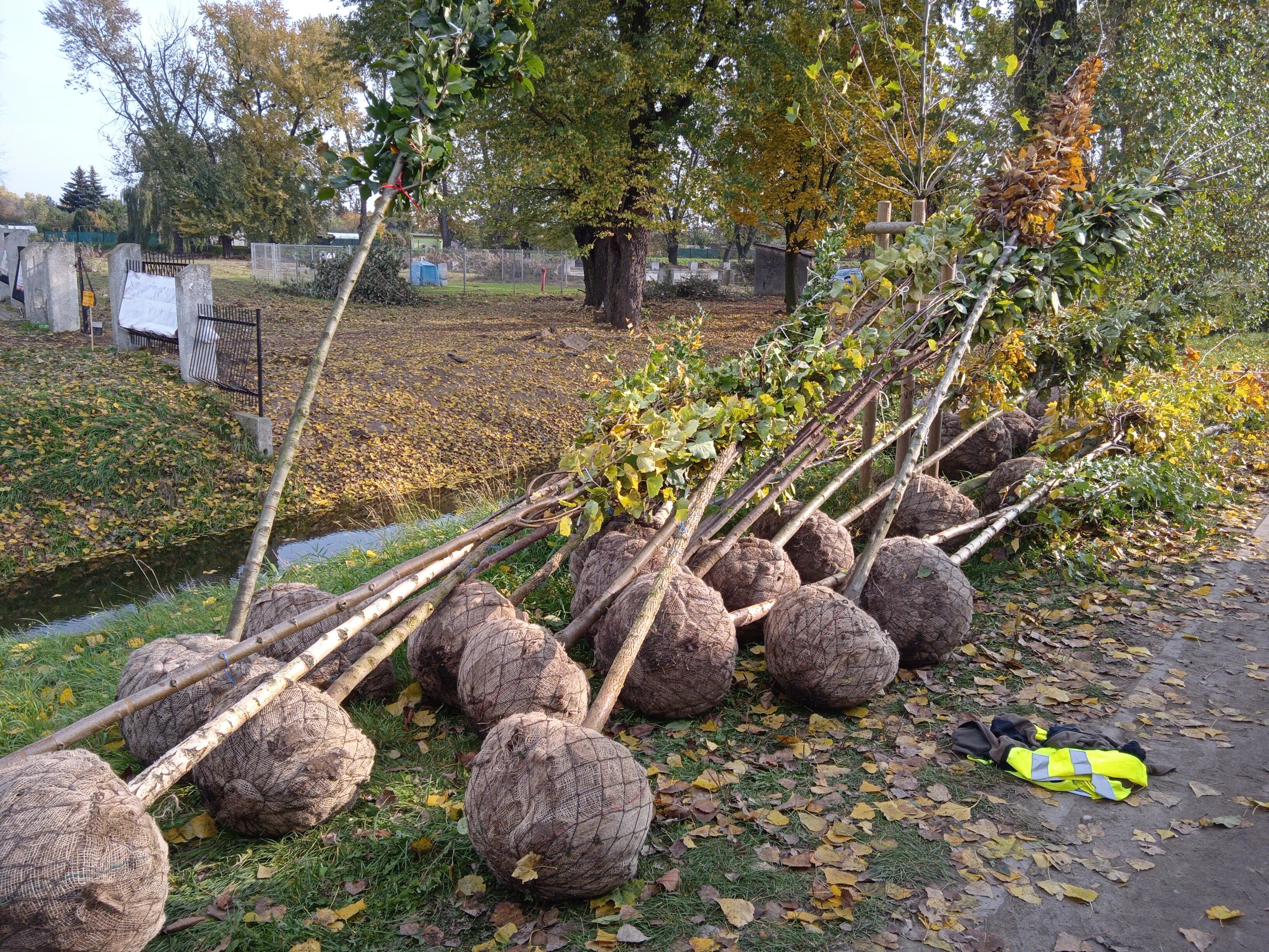 image-9d044d10f640584bb44da256d1caa4566700d905-3264x2448-jpg