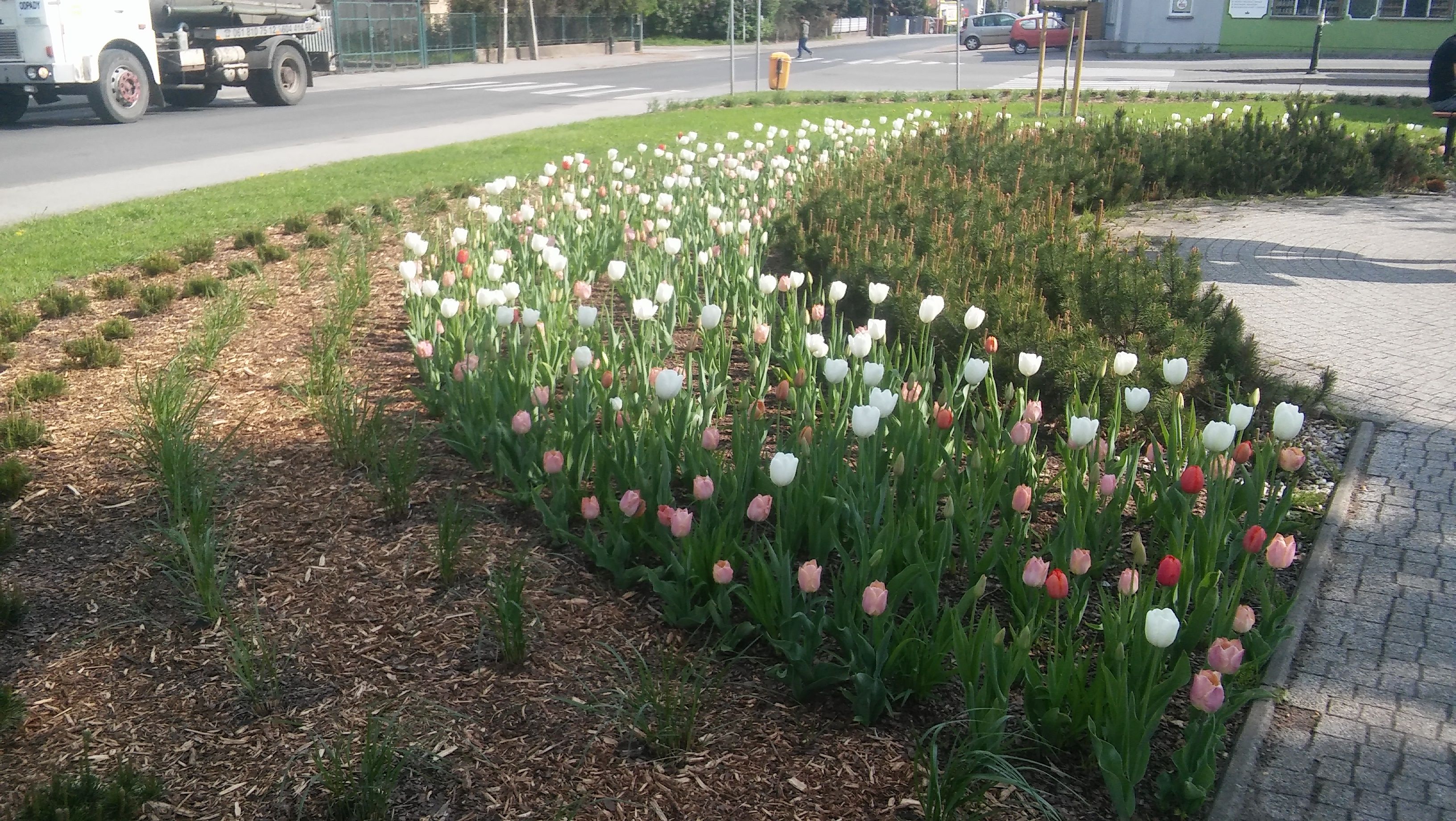 image-9e7f316b0f6525795b6f12921c121e9cd900837d-3264x1840-jpg