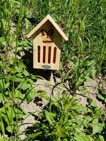 image-a123c0f75a72278a1505106c5dc994ff3ef61cb9-360x480-jpg