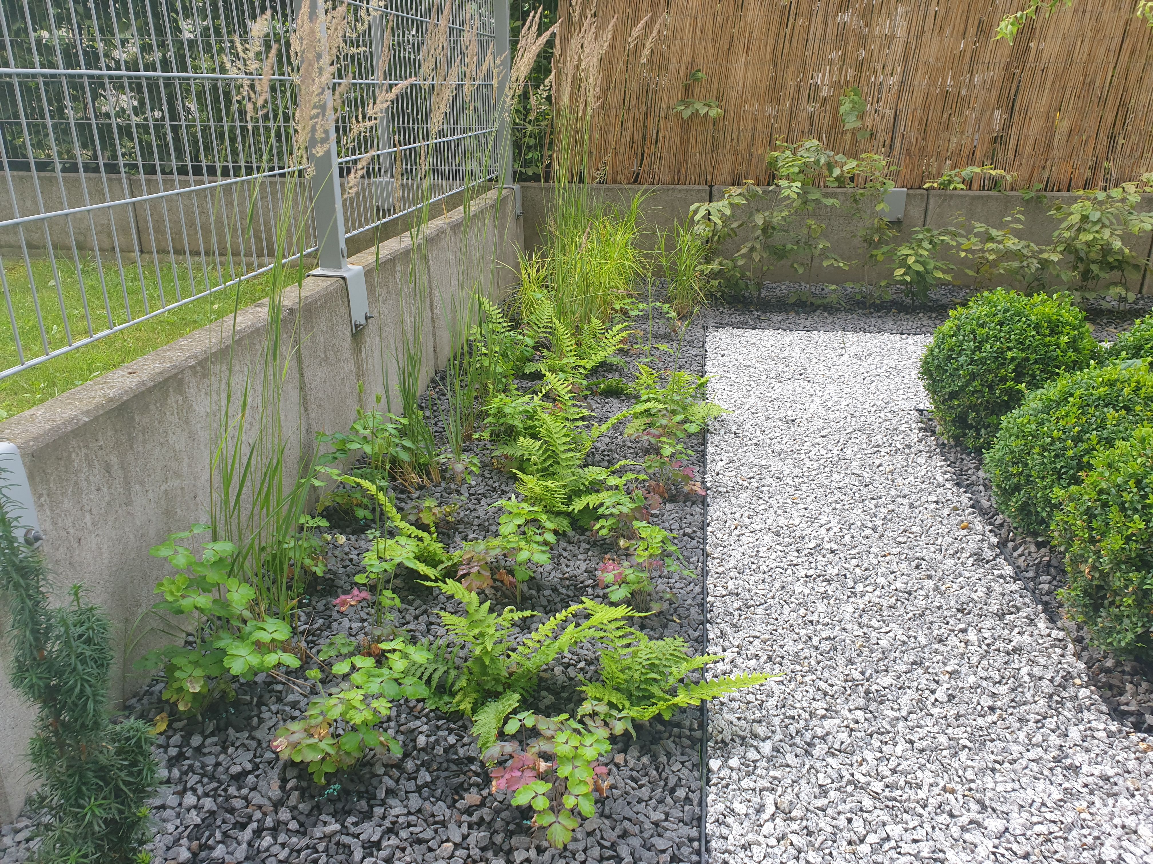 image-a28a76d0a50c4a2e61a0b0c64c293202c7b198bb-4032x3024-jpg