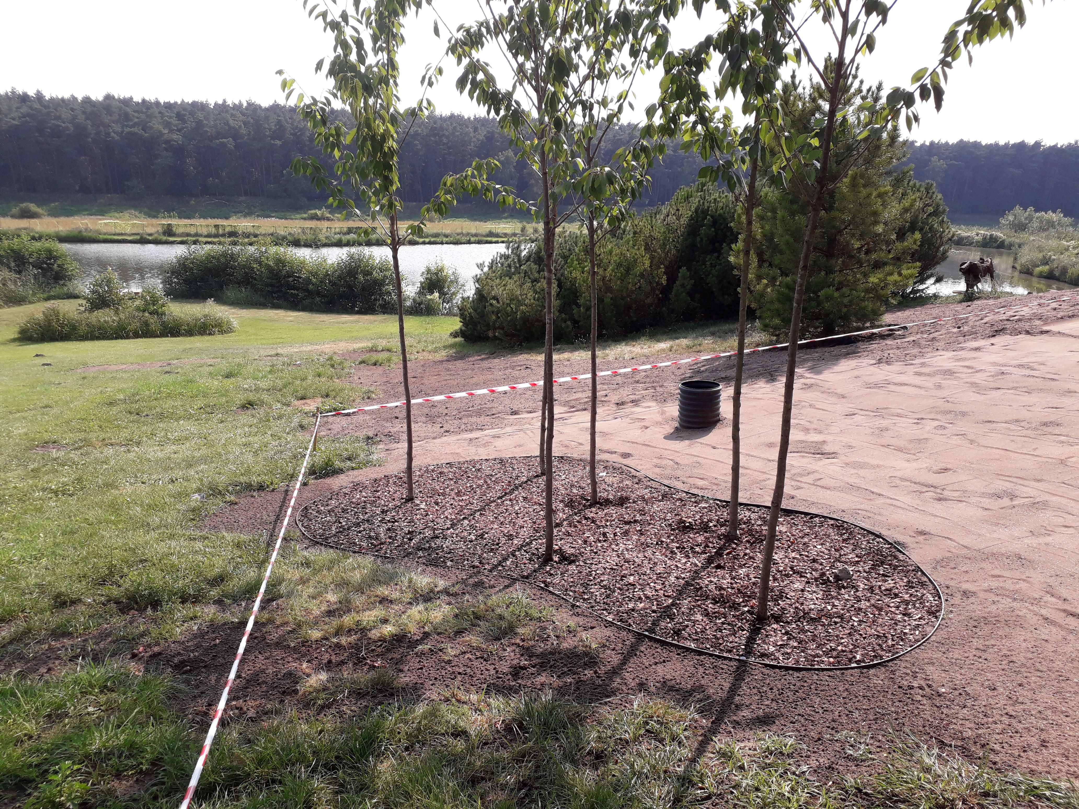 image-a589d8791c6938ede8a341e023a13323f14b883a-4128x3096-jpg