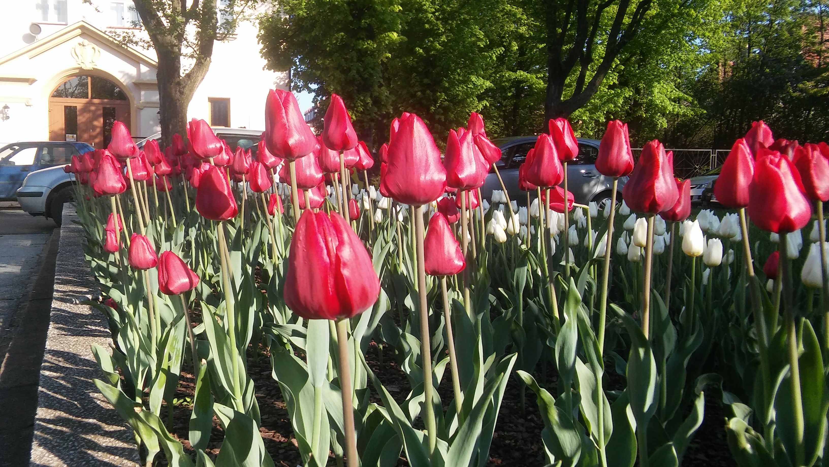 image-aa064e343bbf10f8cb2117230ef54a6ed25f6102-3264x1840-jpg