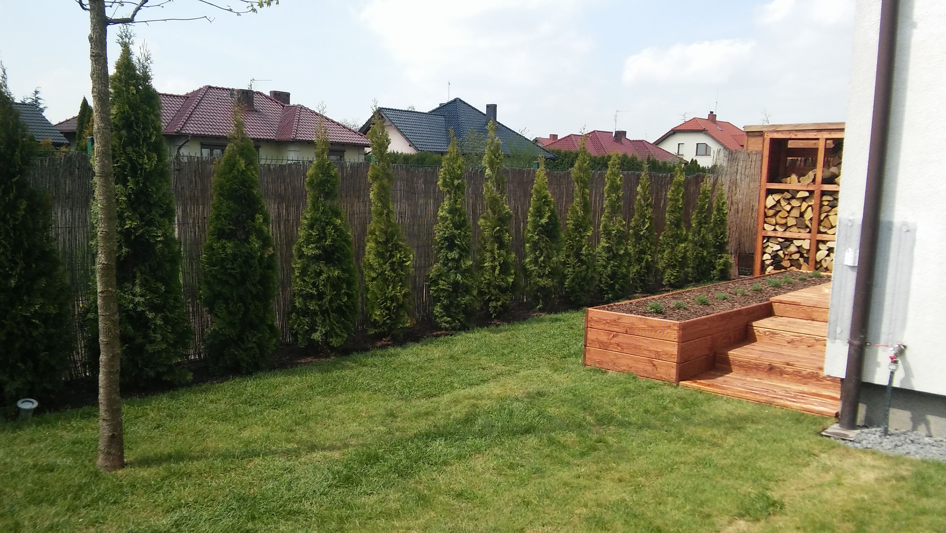 image-ac0ce56cf0c5ff951c4875ea1ee4d2c91aab778b-3264x1840-jpg