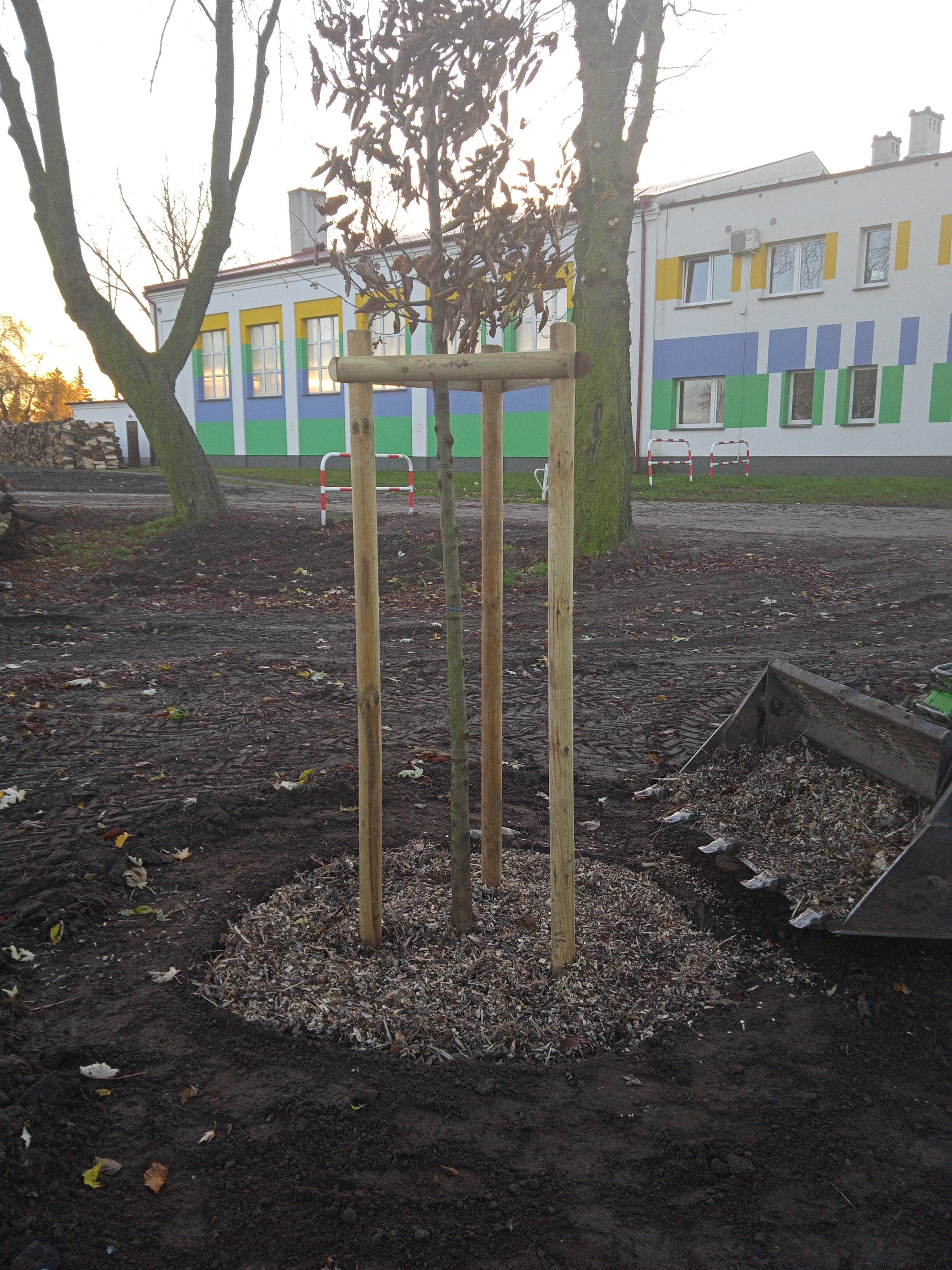 image-ac8ffc1ec37f570e5baf9559c7c96db4775ea86a-2448x3264-jpg