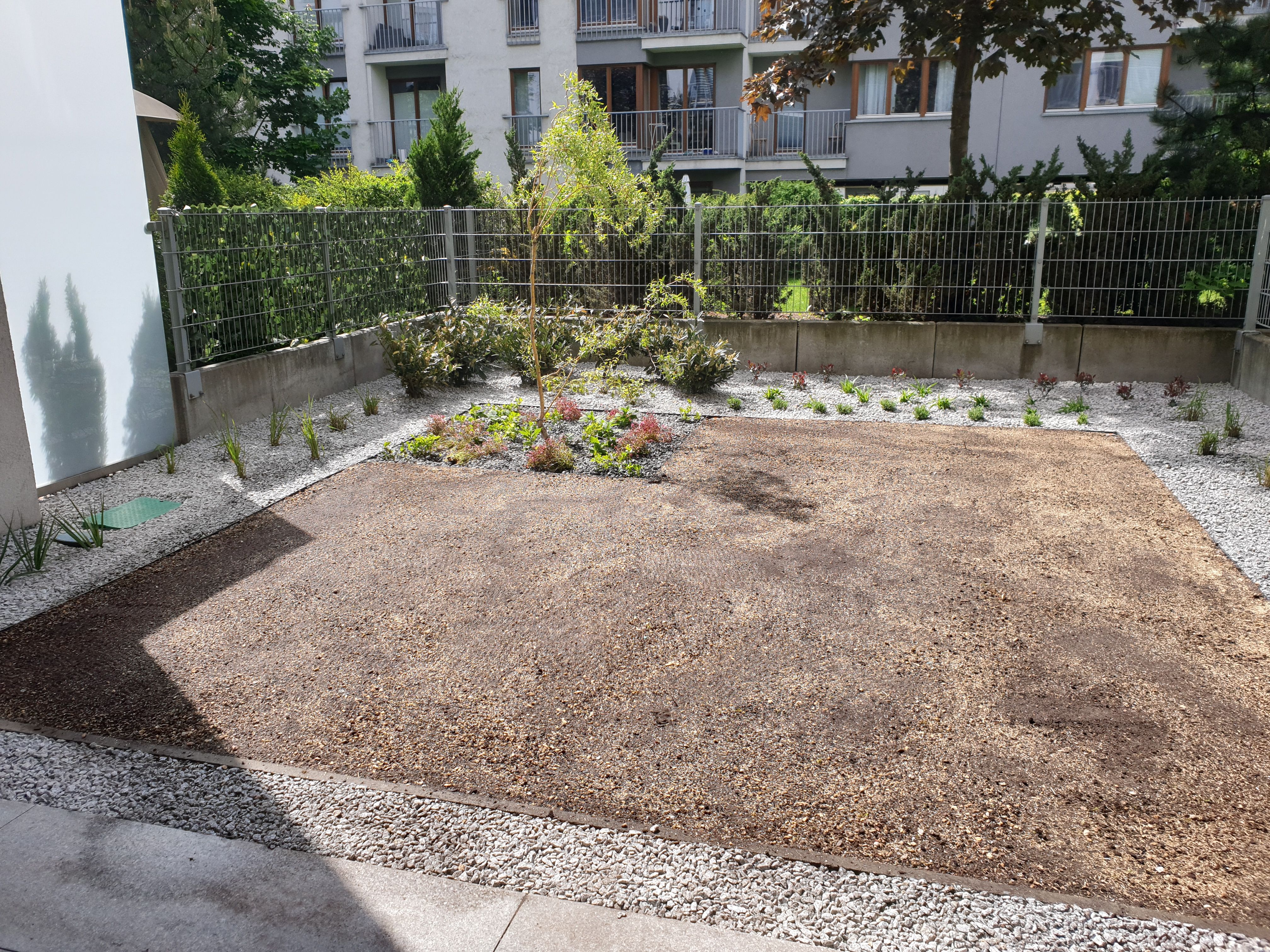 image-ae939766b87c6ab4710e91c4168d91a07c07e586-4032x3024-jpg