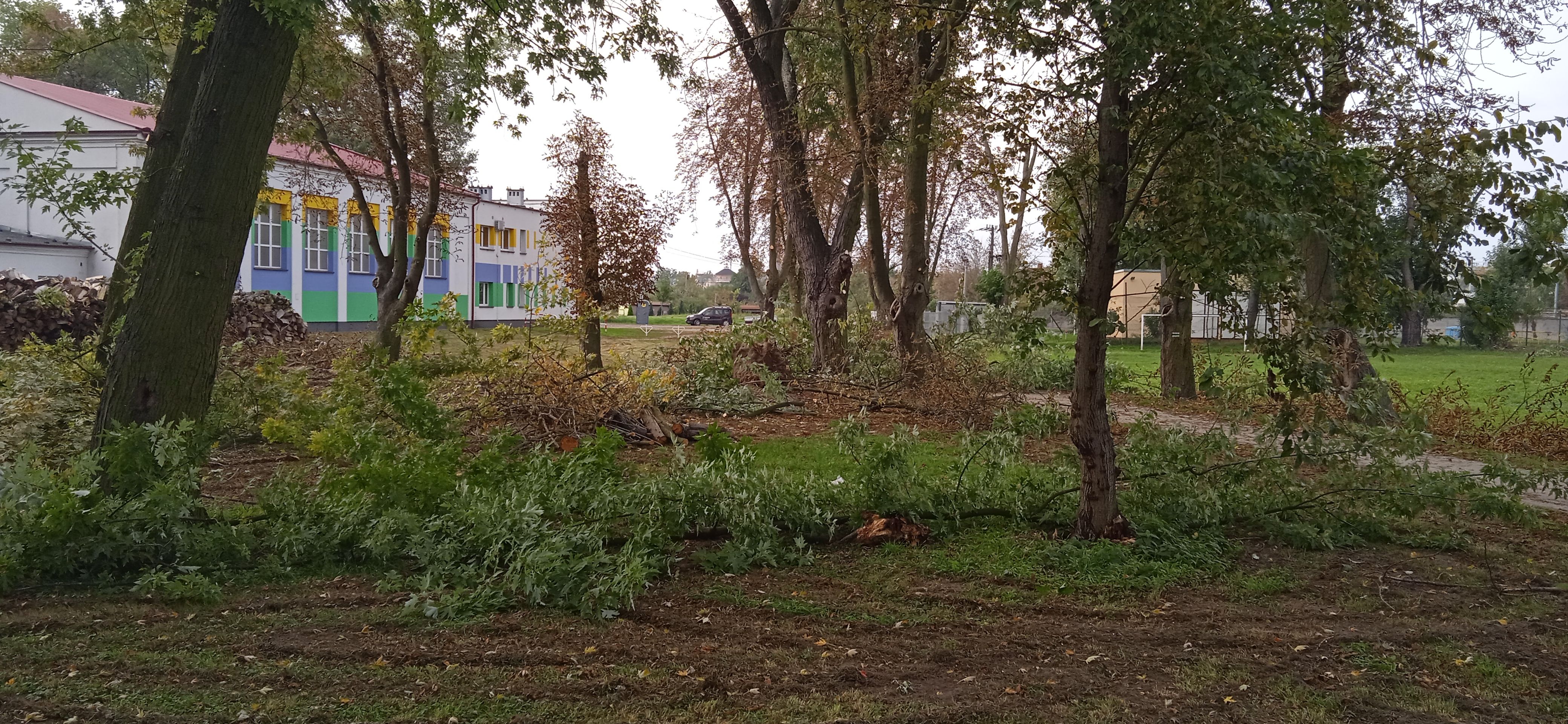 image-b03ced5d32ea6dbbe5628d48a53e77a470ef0d64-4160x1920-jpg