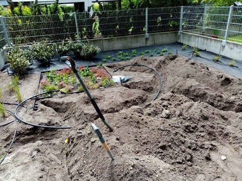 image-b70803d000d9d5351904883080879ebb9cfa7c2e-480x360-jpg