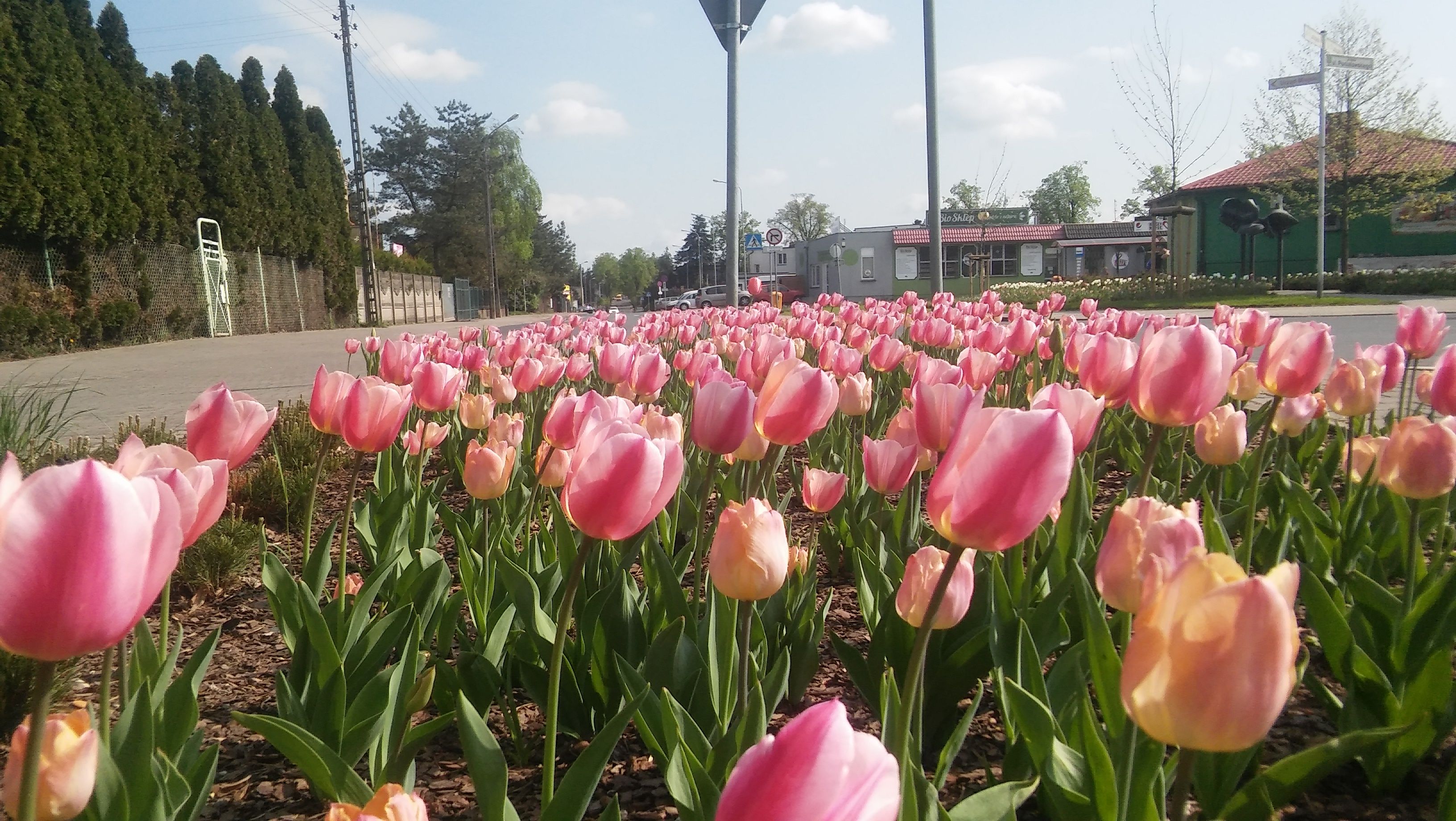 image-bcb048220e7cc858ebf46f24ecaa550b53c818b1-3264x1840-jpg