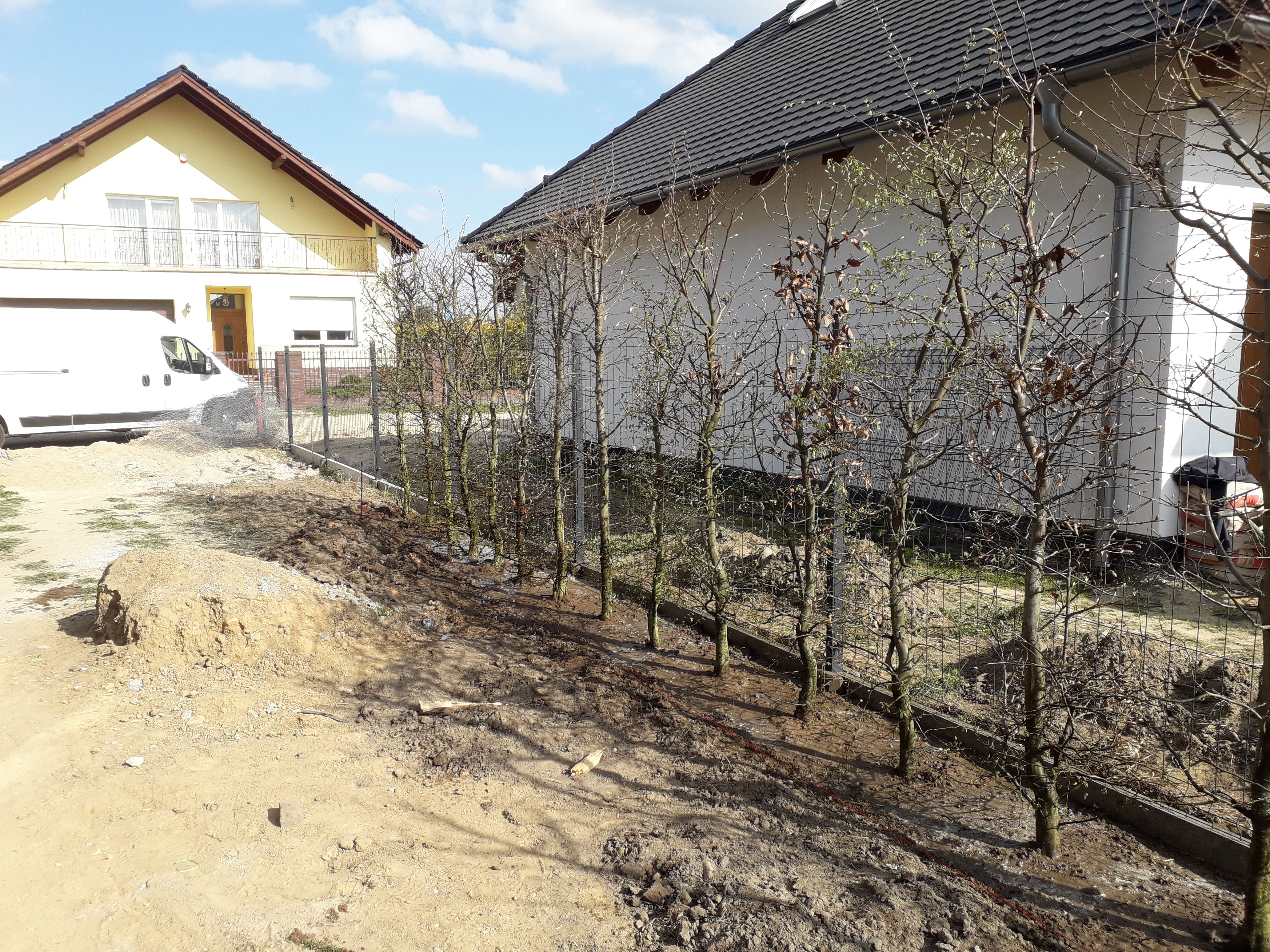 image-bce959044e2b9a1e60c89e4398b891f19037cf0a-4128x3096-jpg