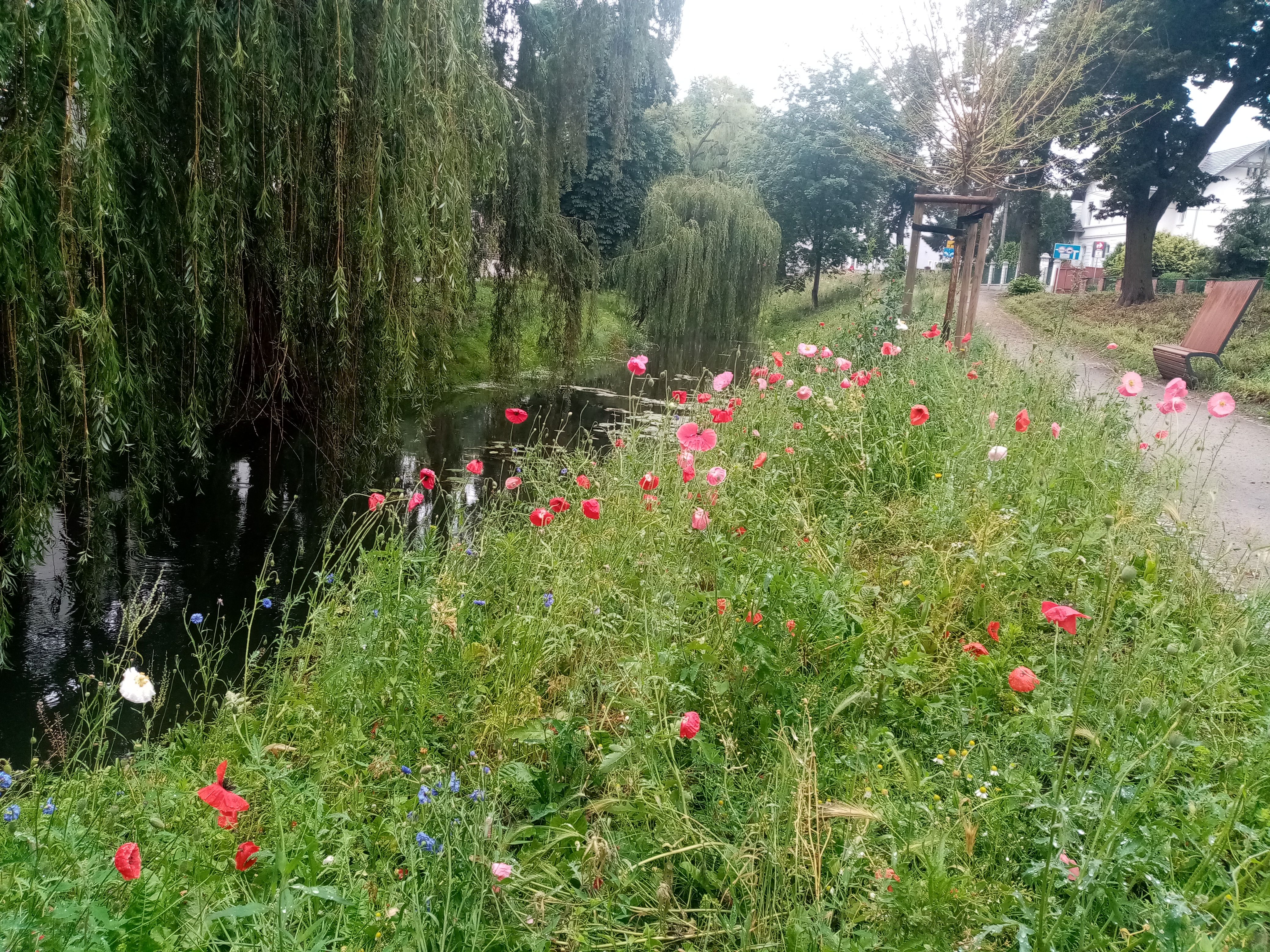 image-bdcb95ea46213eafad2004fef712c24ad760df0d-4160x3120-jpg