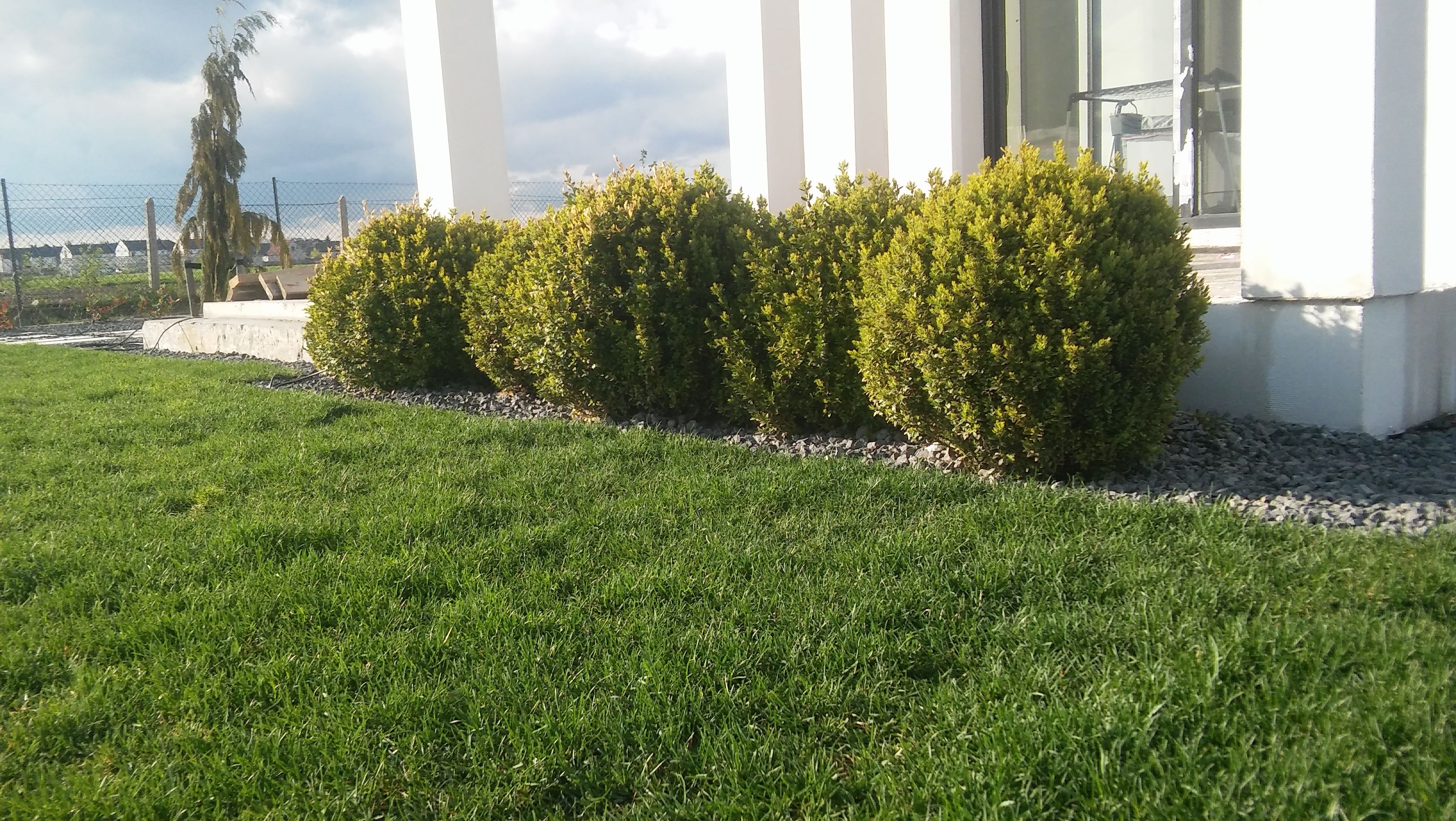 image-c0801b2952c2ec2f8a3c84ea89d869ed85dbe310-3264x1840-jpg