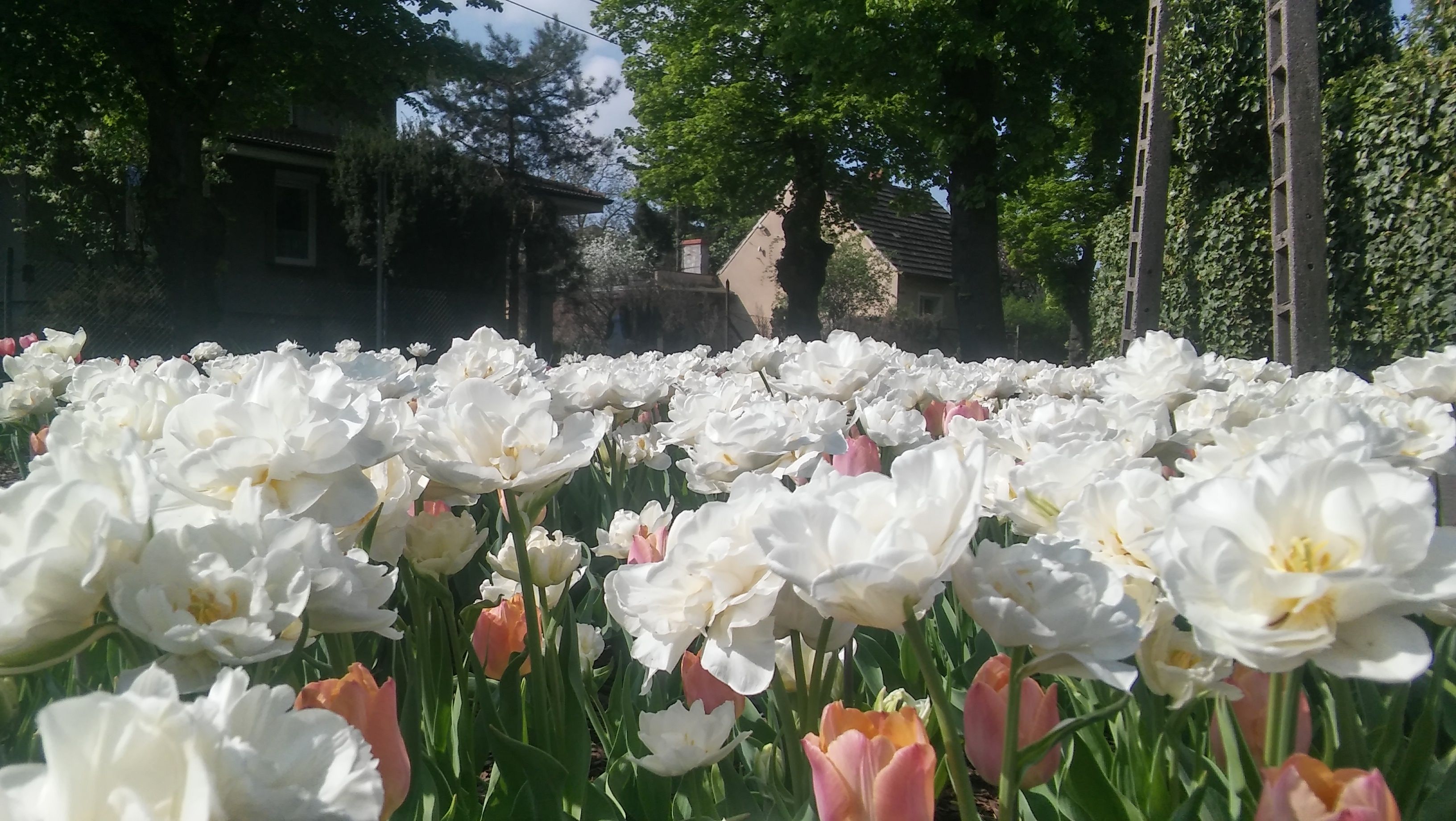 image-c6dd8276702825ec4a7d645798c9d976e2a032f8-3264x1840-jpg