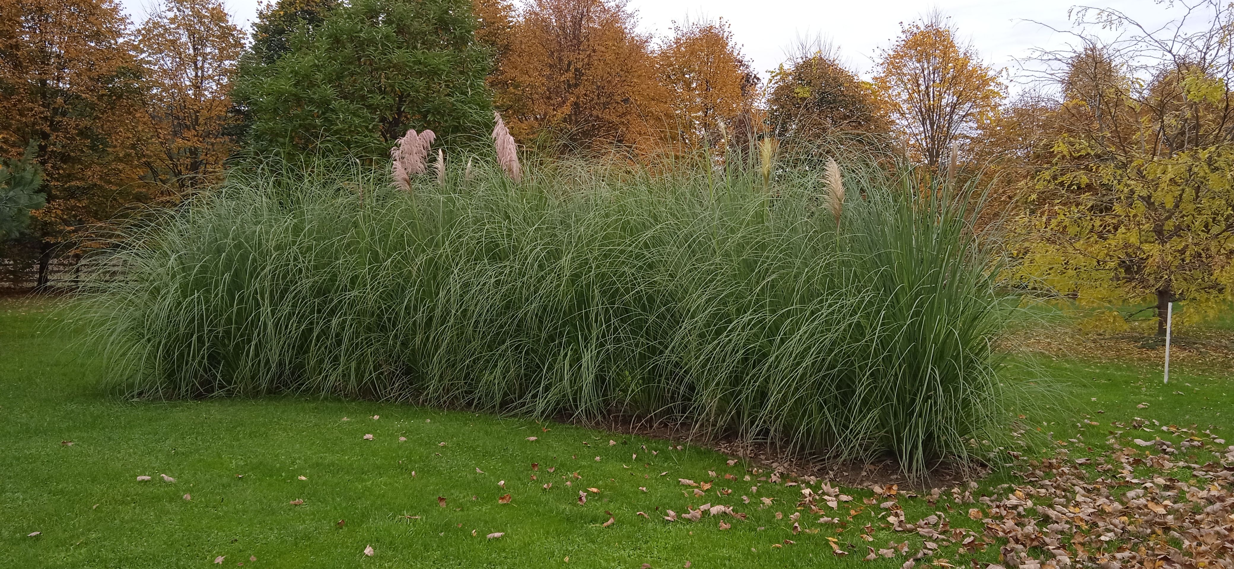 image-c9bf906f96bb996b057b75f3eaad621ac757501e-4160x1920-jpg