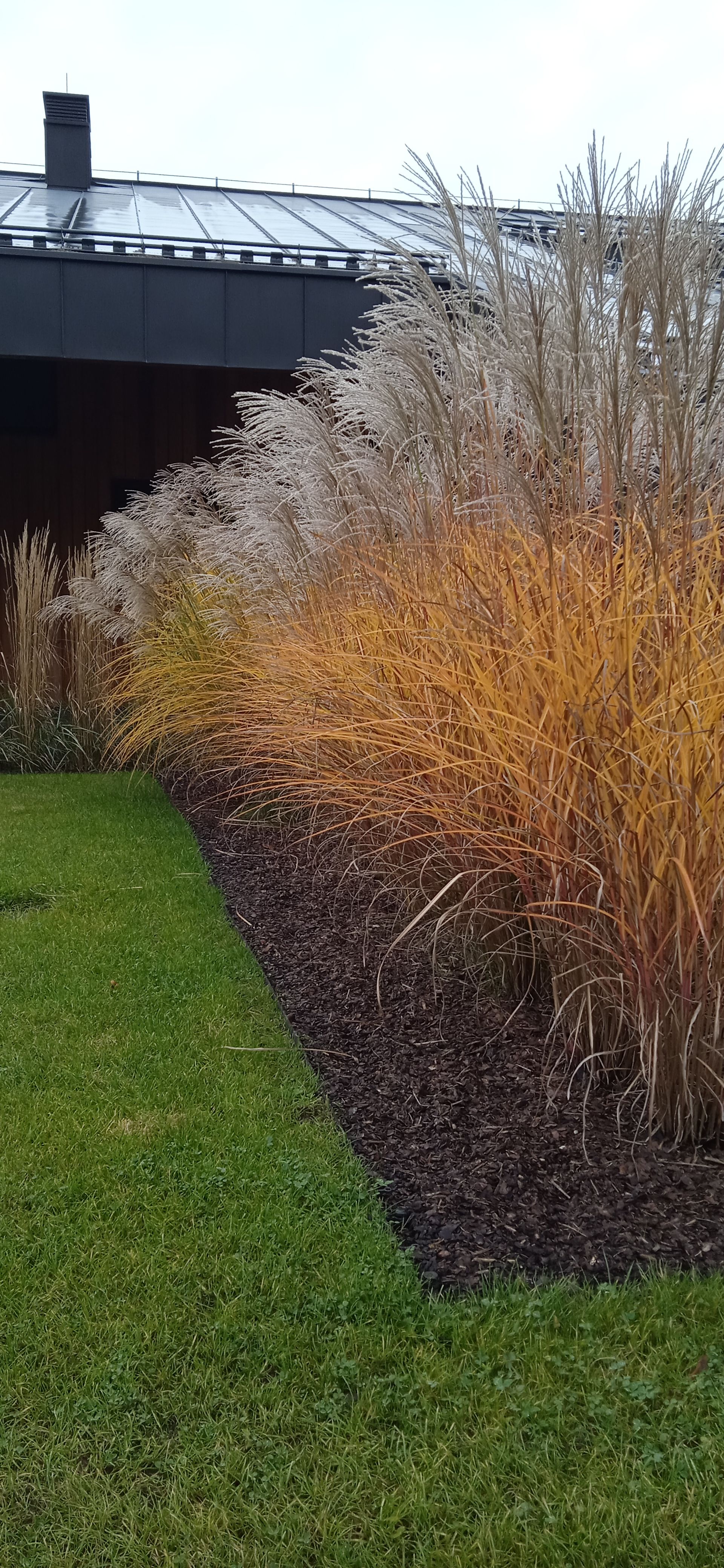 image-c9ef50058a717954aa18f85f6b12429e2ff4c118-1920x4160-jpg