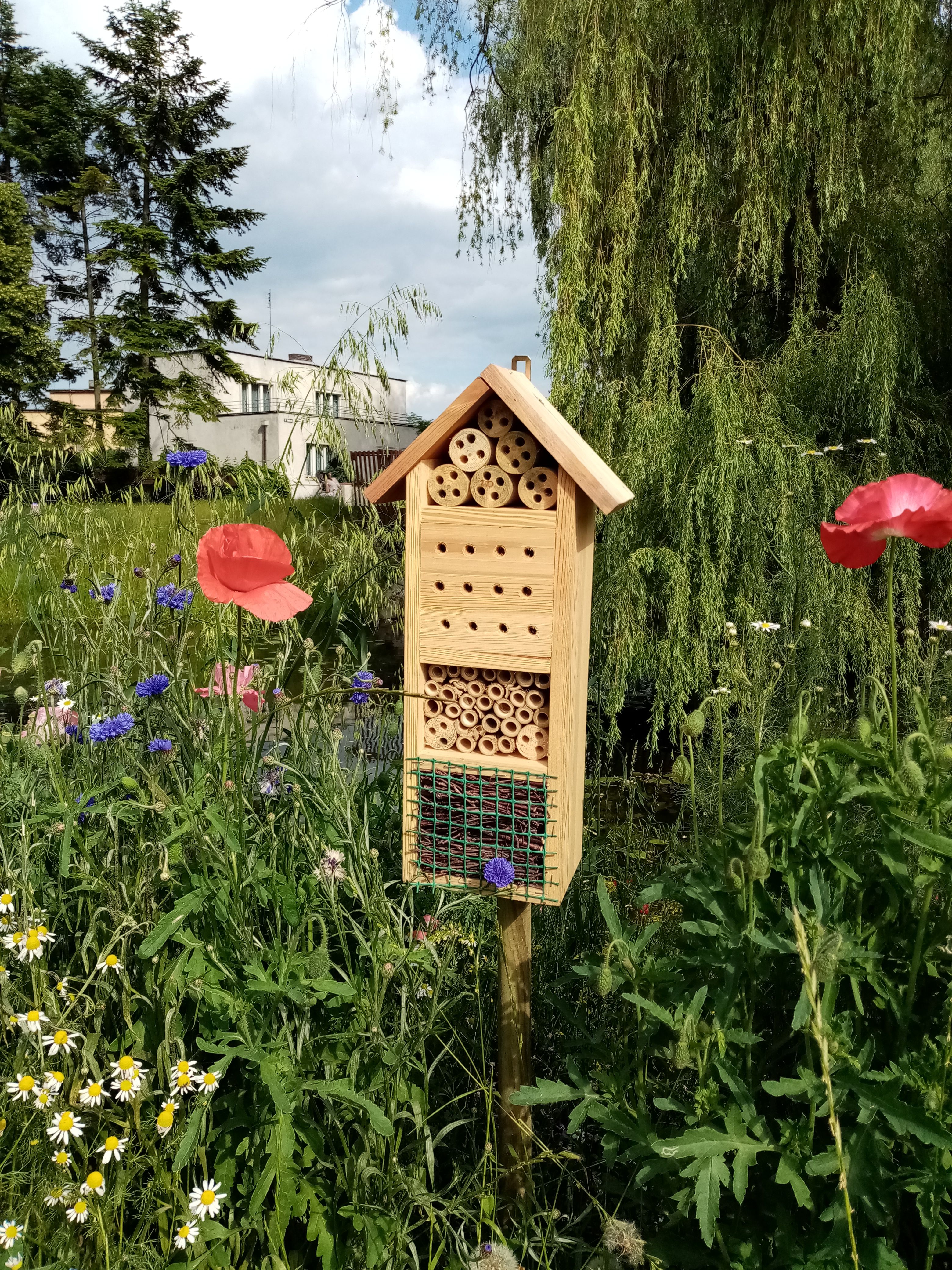 image-cbce6e182f8f5e85da8614c5901760de5b1c56f7-3120x4160-jpg