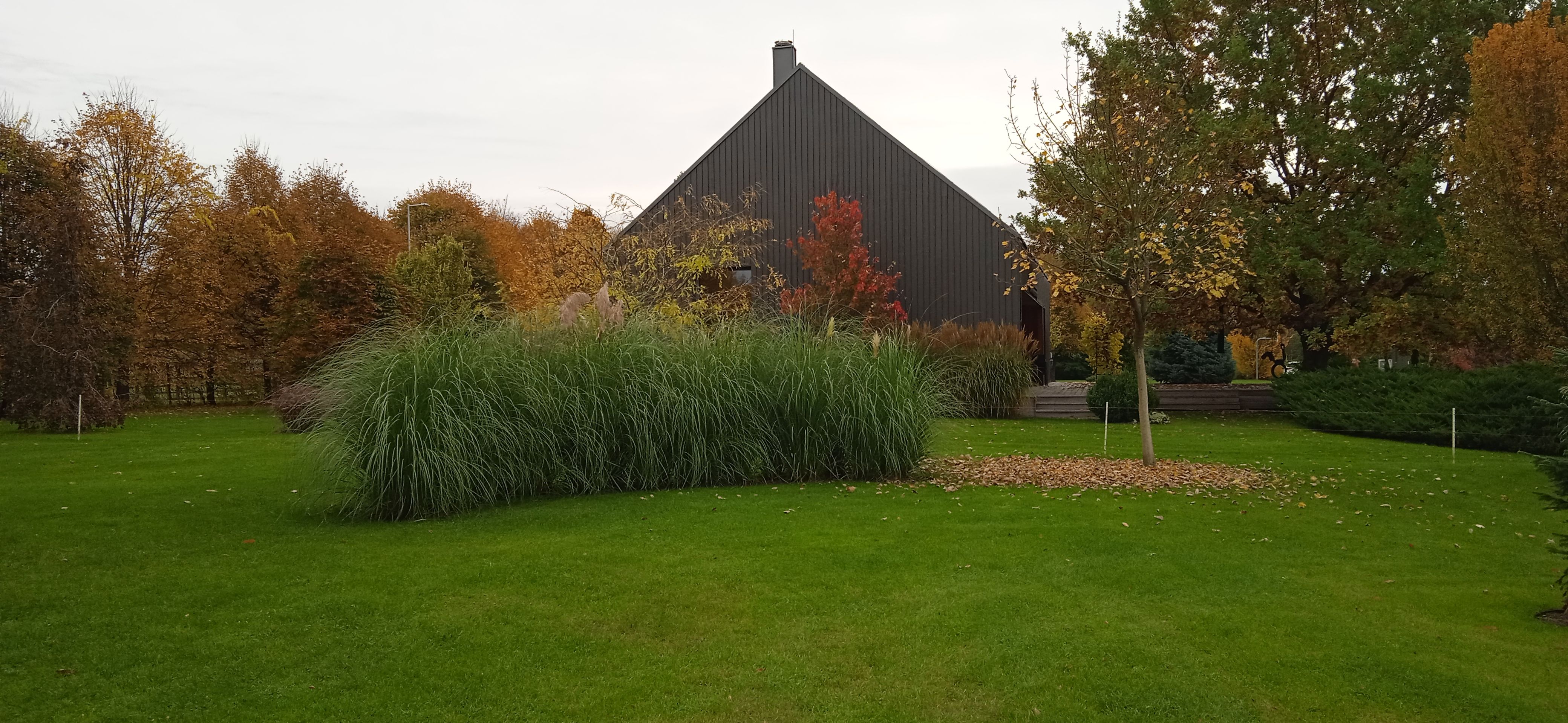 image-cdf3fd2d9d0e99c1665dcb859585952cb3f2c13c-4160x1920-jpg