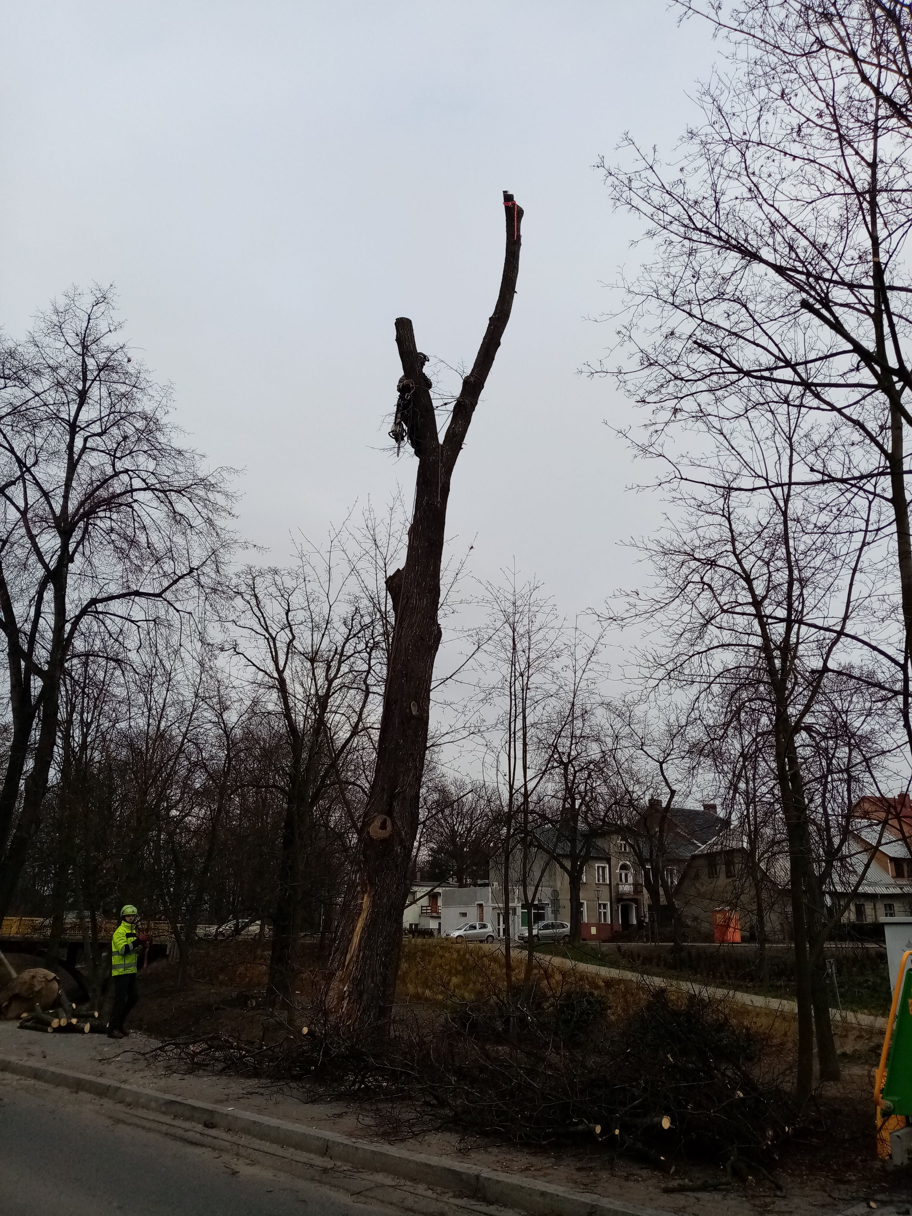 image-d147dfffca4c1f30c4d5a5bc704a3a8a9cf8214a-3120x4160-jpg