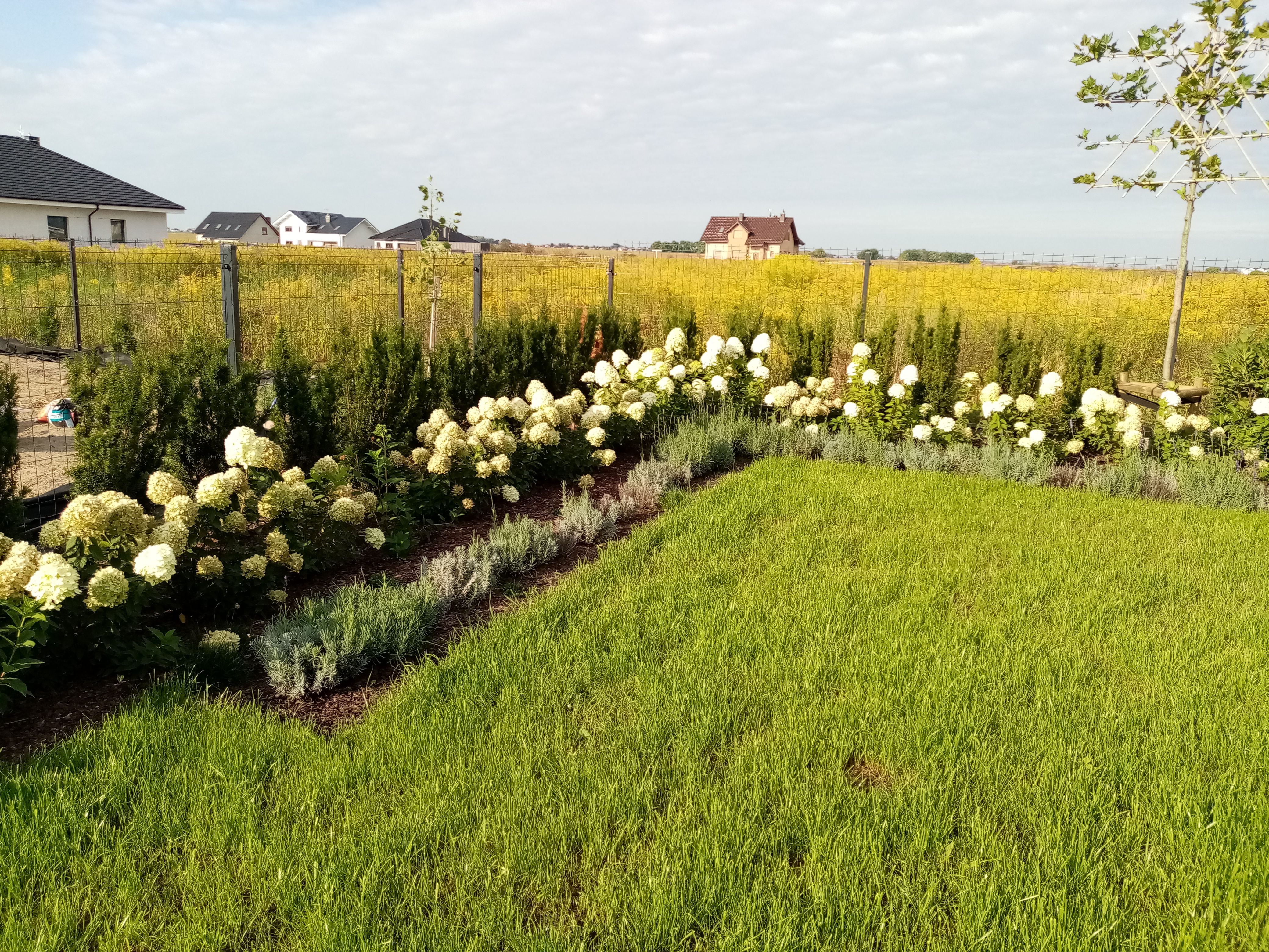 image-d2250eb75cea448f7b7a828ae19dd1fbc58139bb-4160x3120-jpg