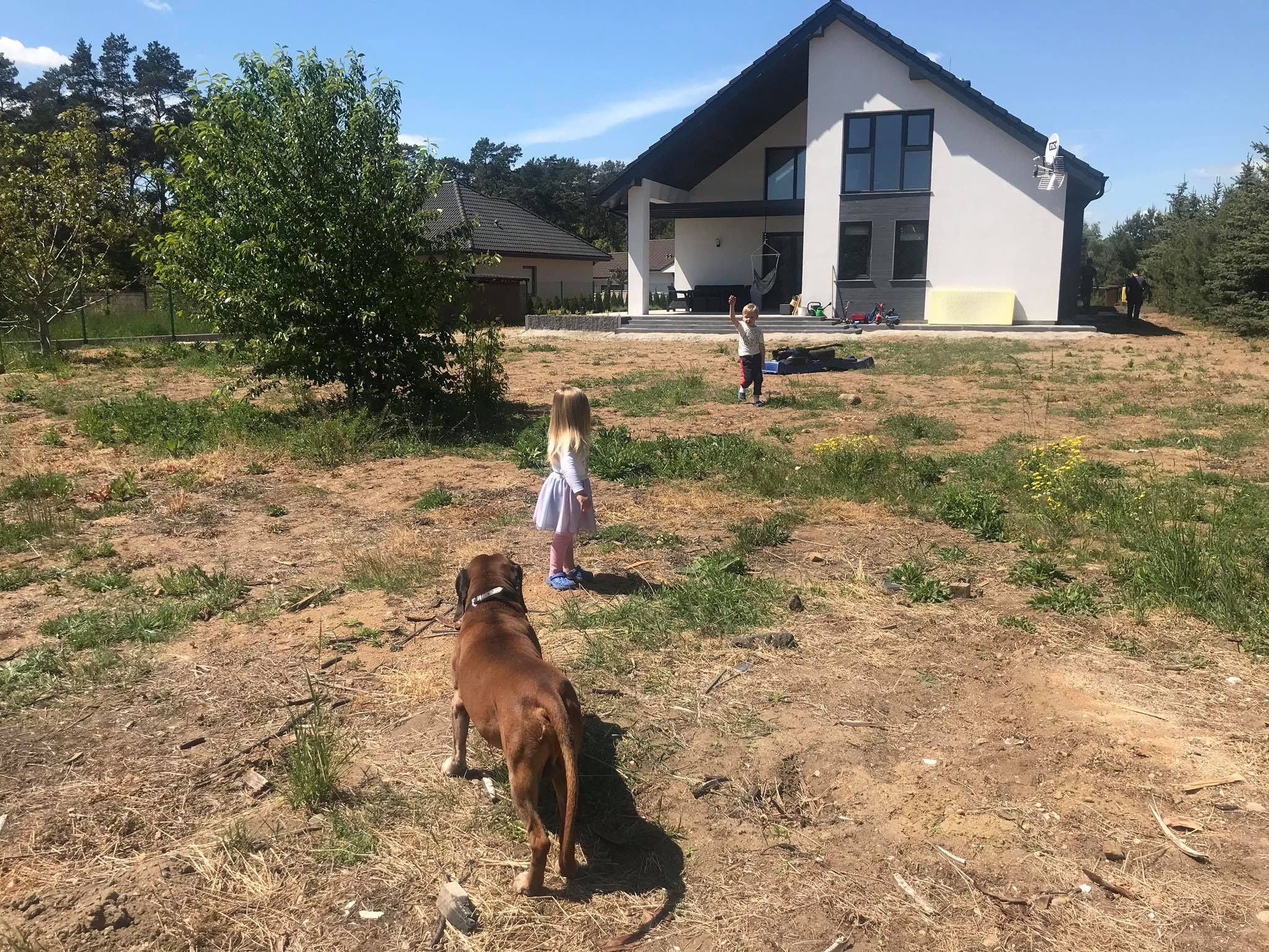 image-d47ec9d0411394aaebaf3c7430ec384bb5f843e7-2048x1536-jpg