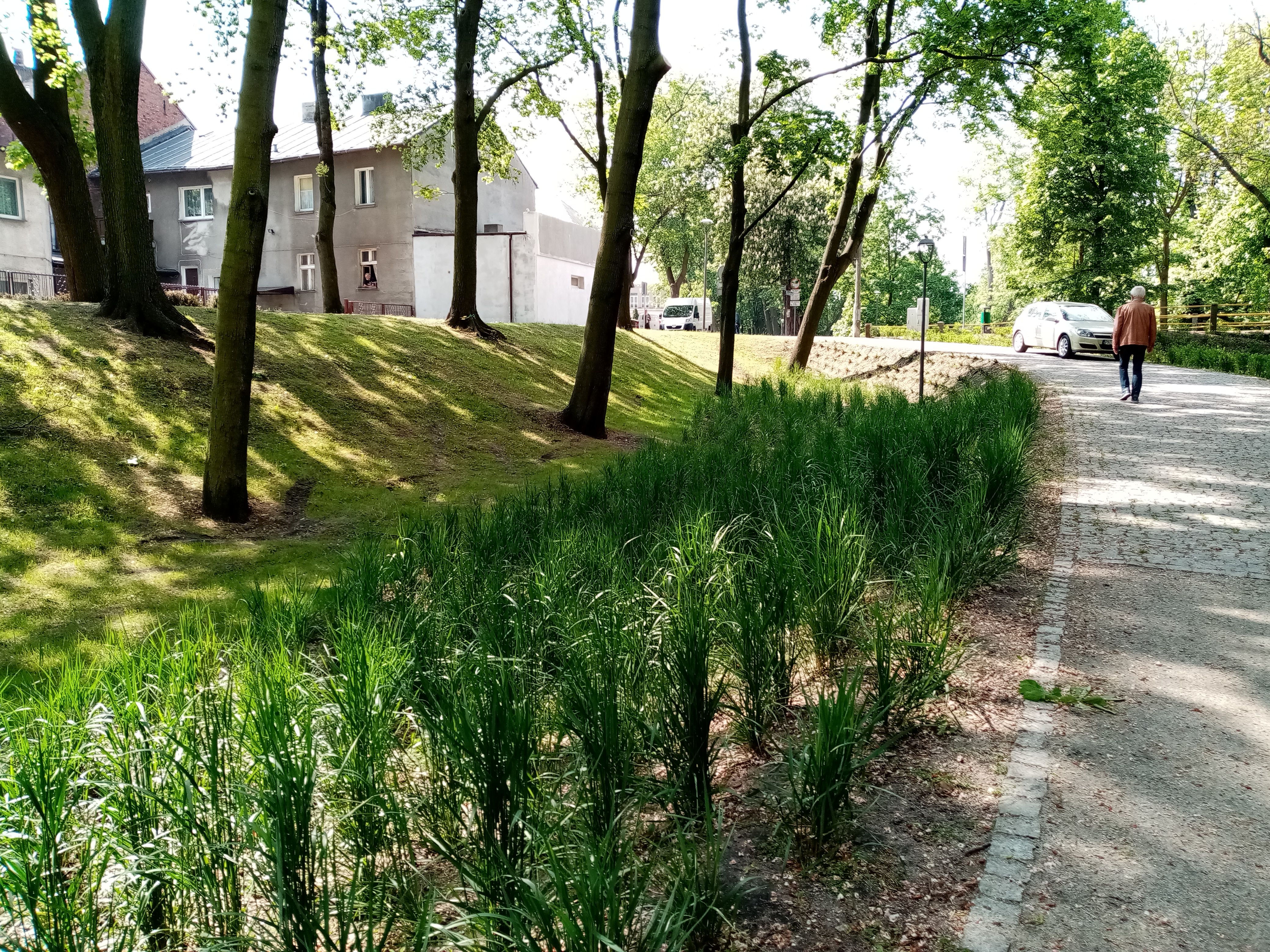 image-d59208927c8fbc24e070fab6cf9c6668aa9ba0ea-4160x3120-jpg